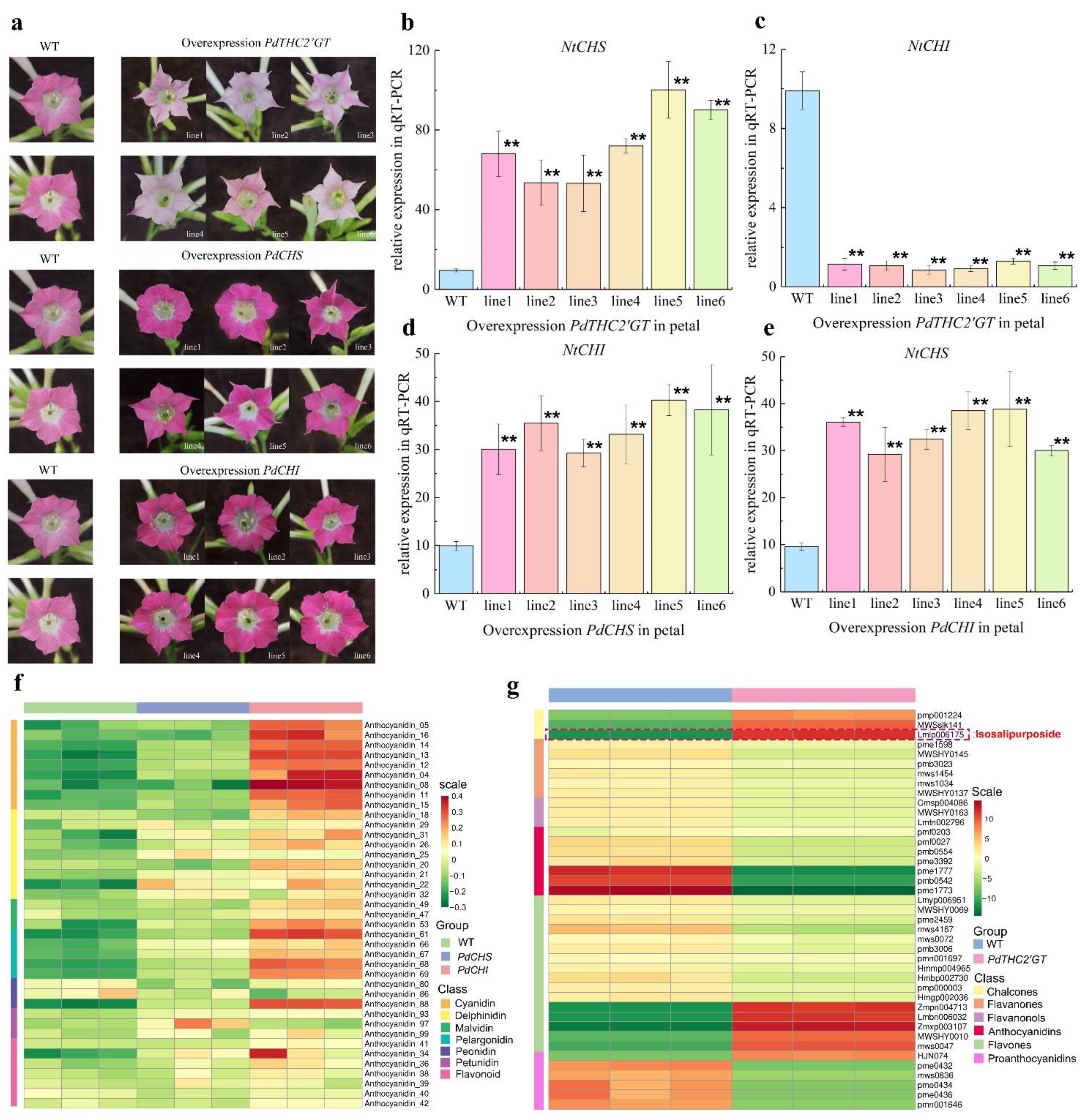 Ijms 23 05696 g007 Ijms 23 05696 g007