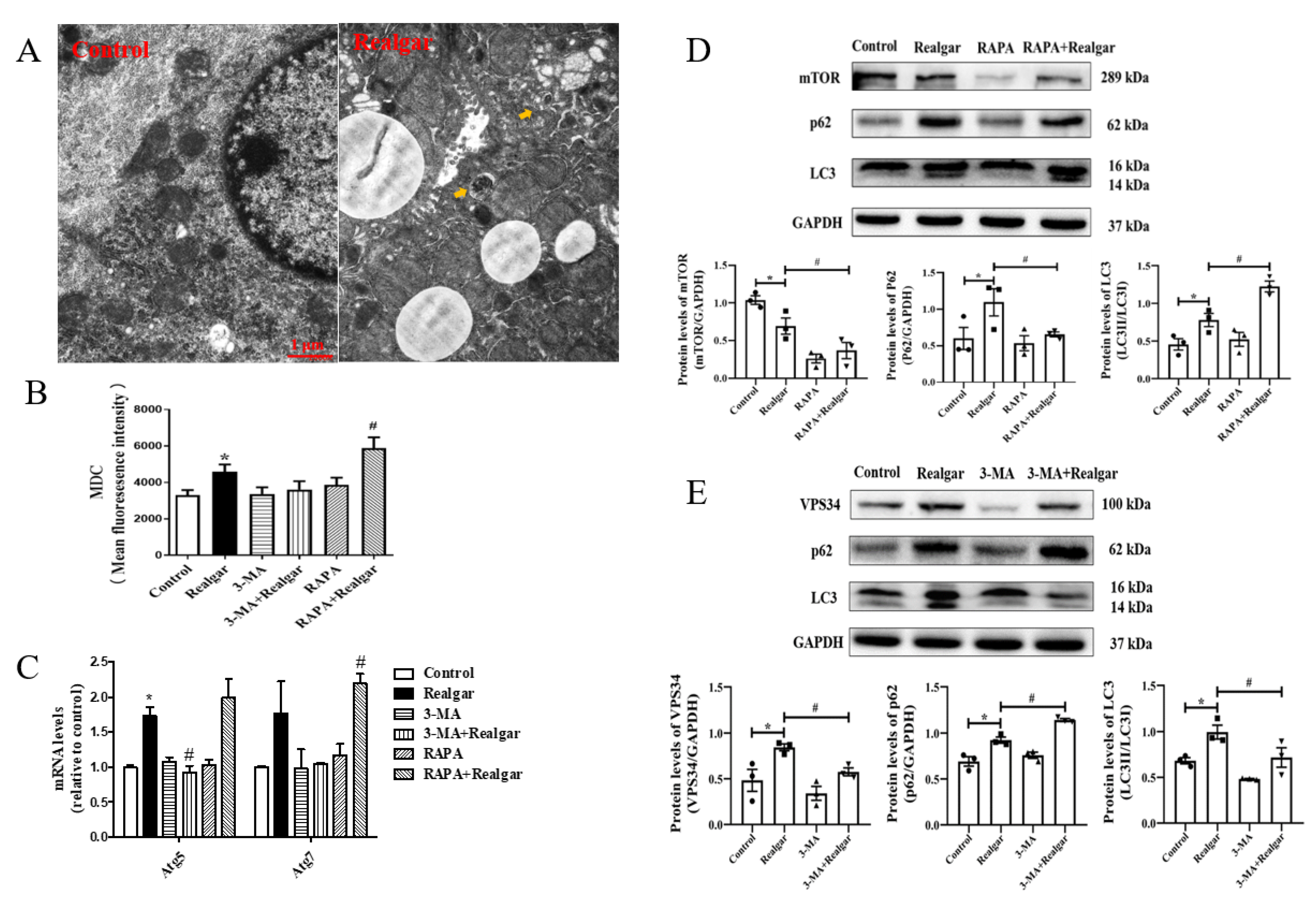 Ijms 23 05697 g001 550