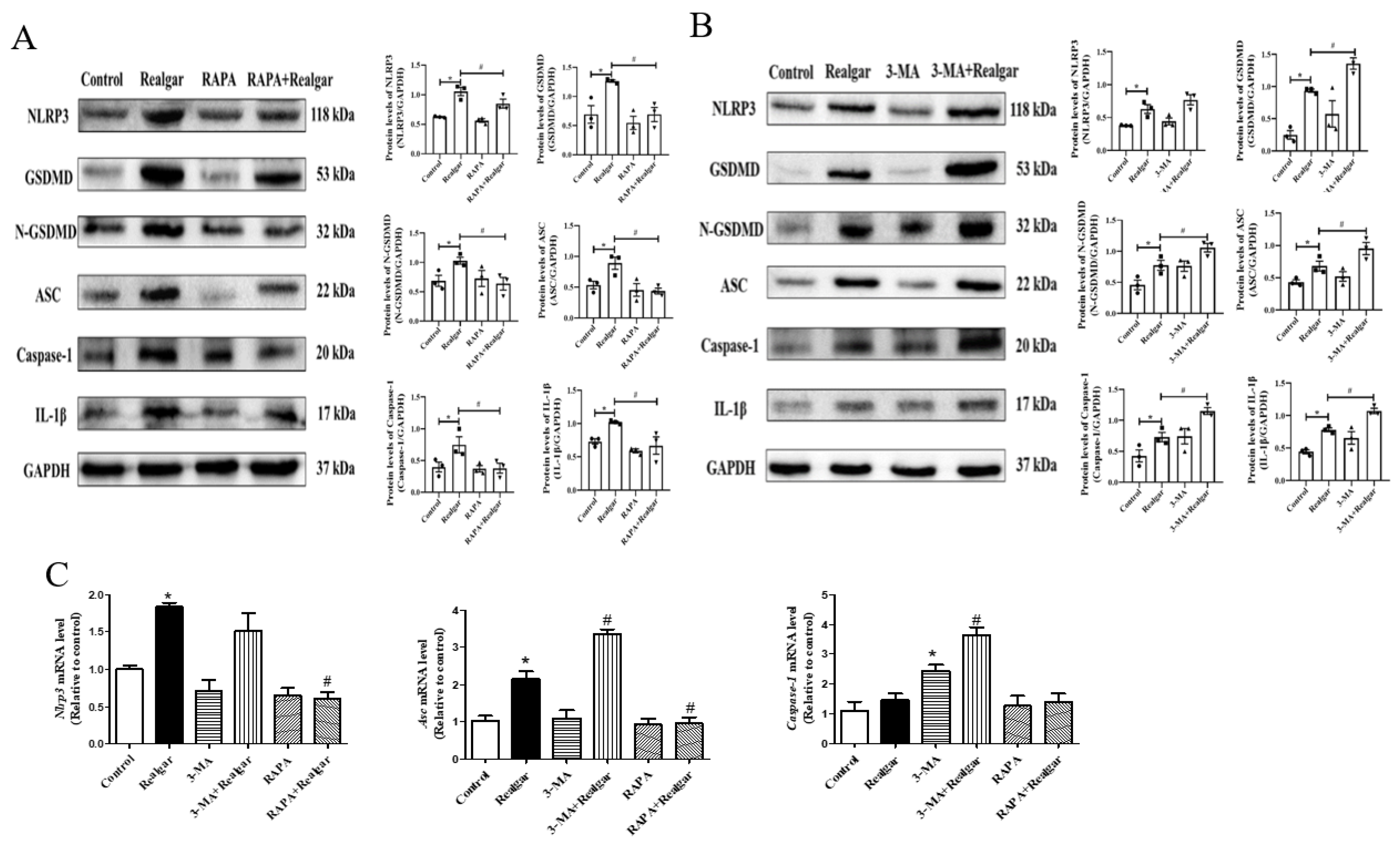 Ijms 23 05697 g004 550