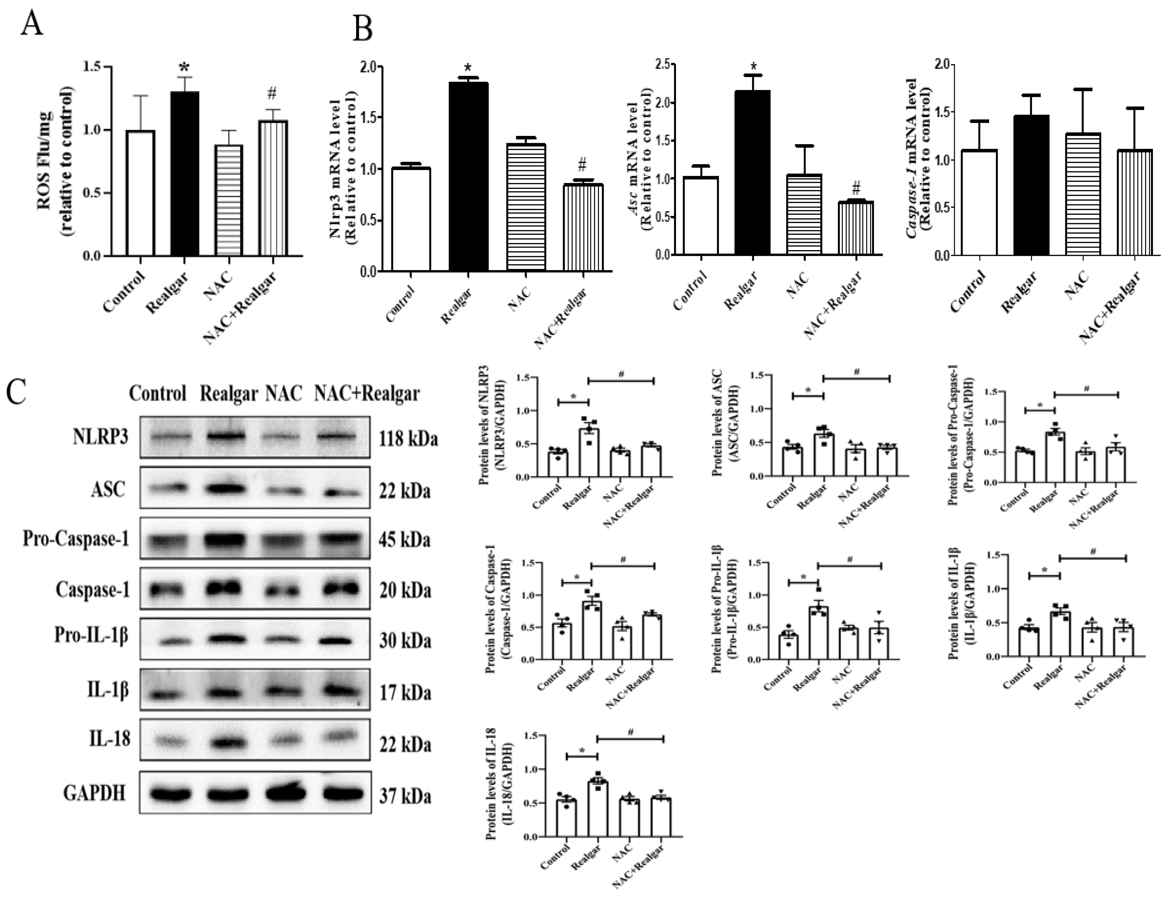 Ijms 23 05697 g005 550
