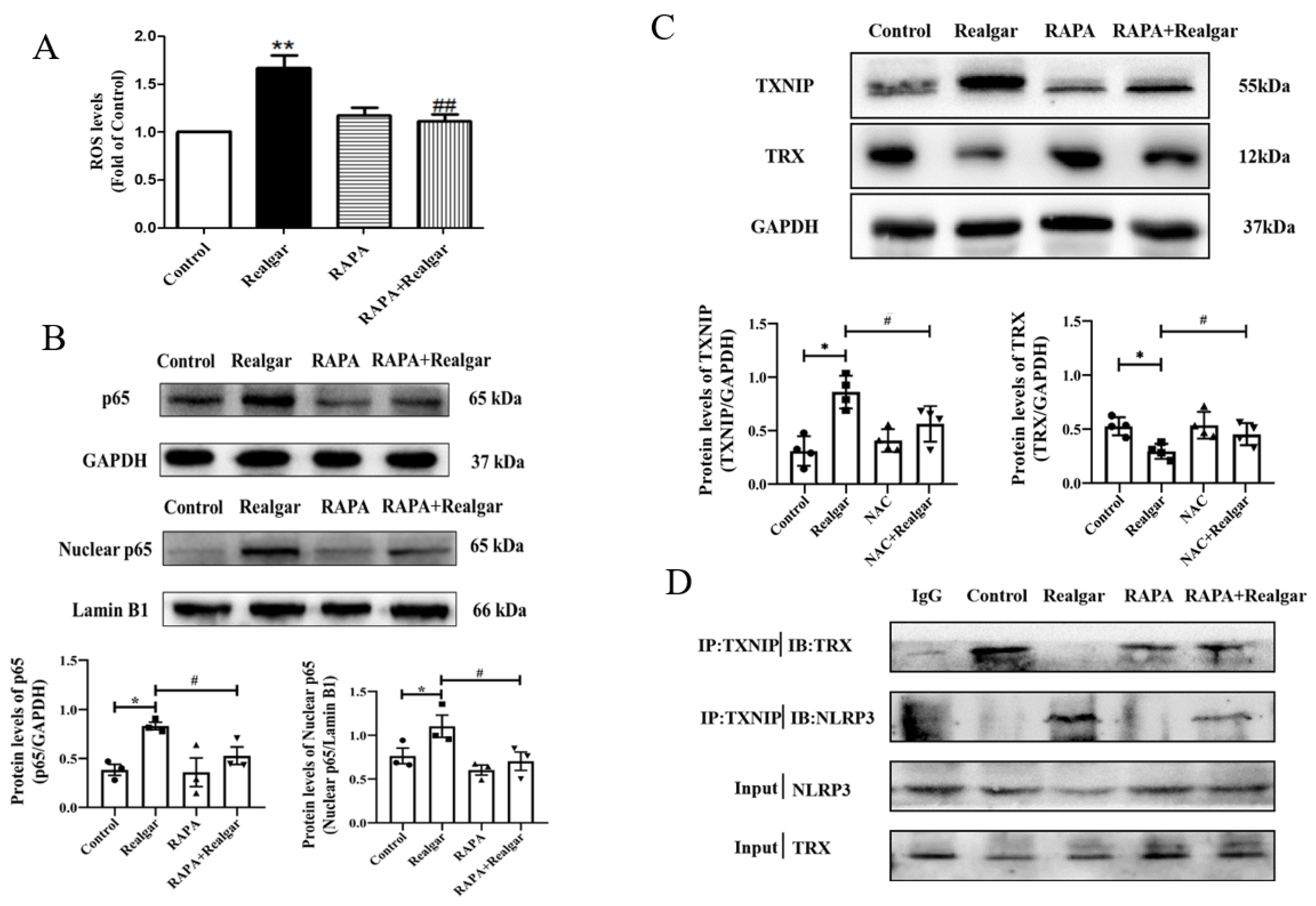 Ijms 23 05697 g006 550