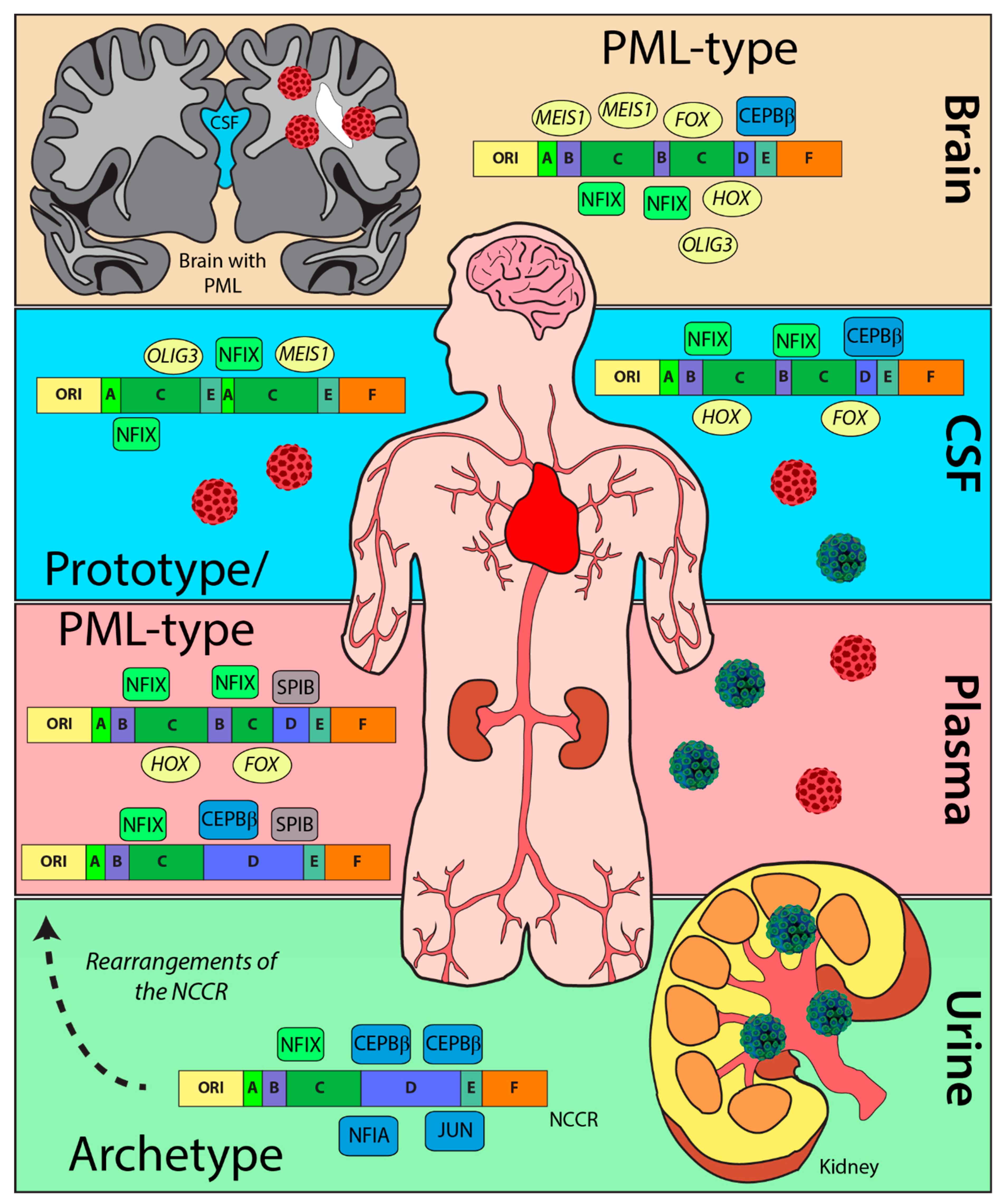 Ijms 23 05699 g005 Ijms 23 05699 g005