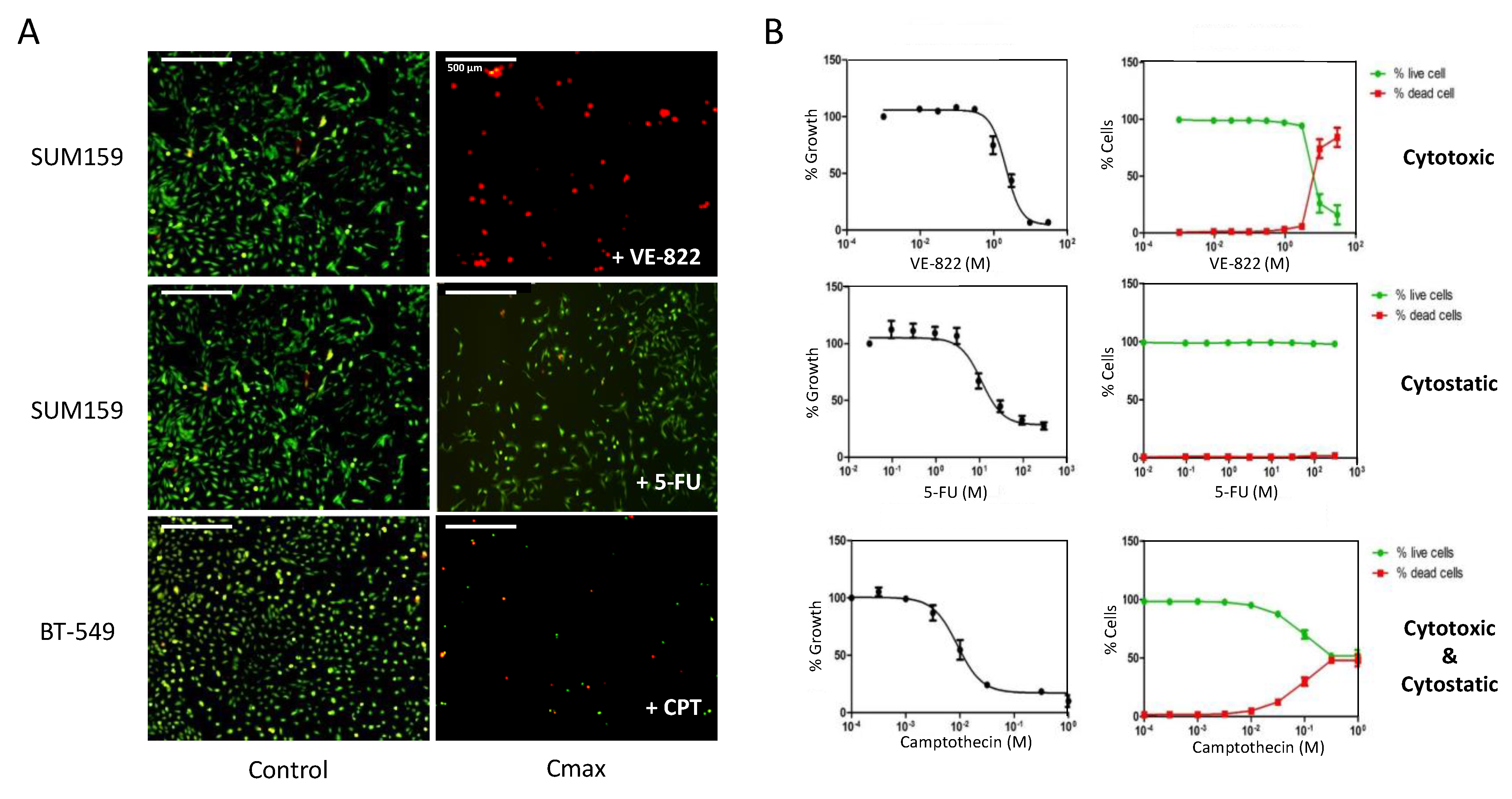 Ijms 23 05701 g001 550
