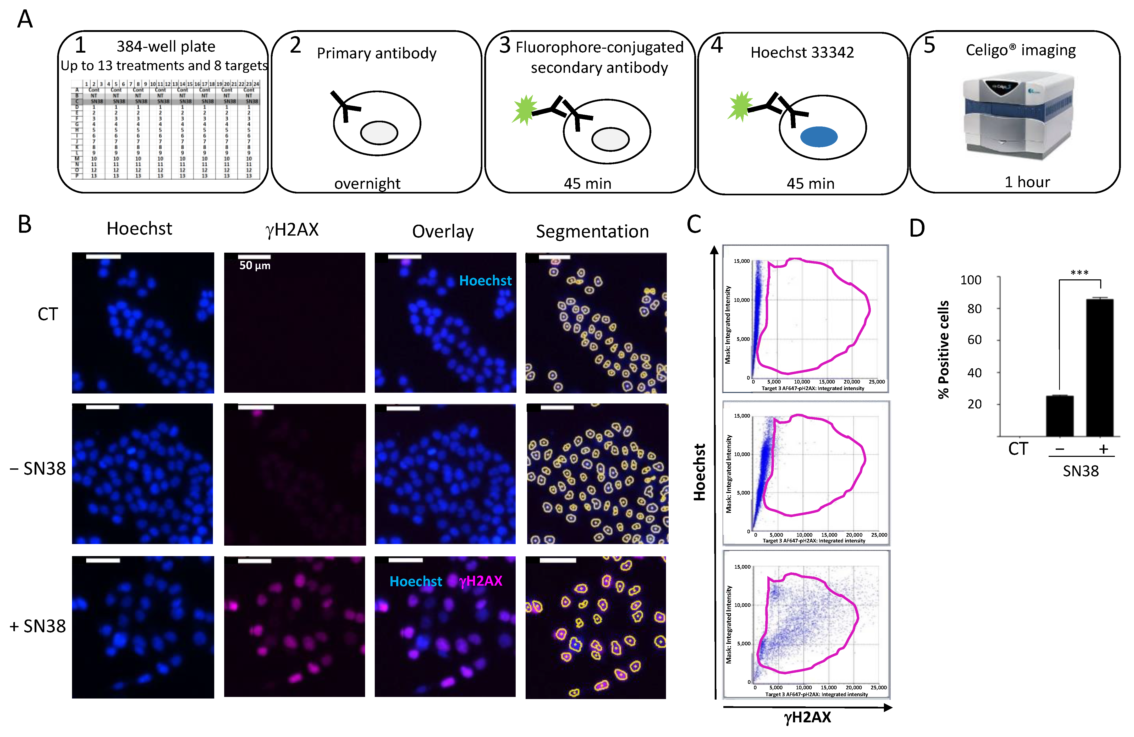 Ijms 23 05701 g002 550