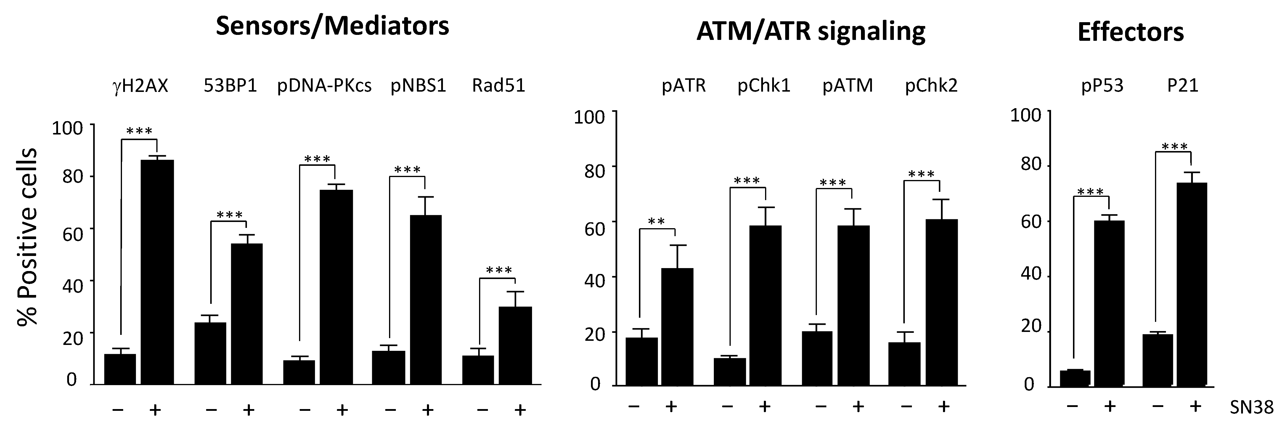 Ijms 23 05701 g003 550