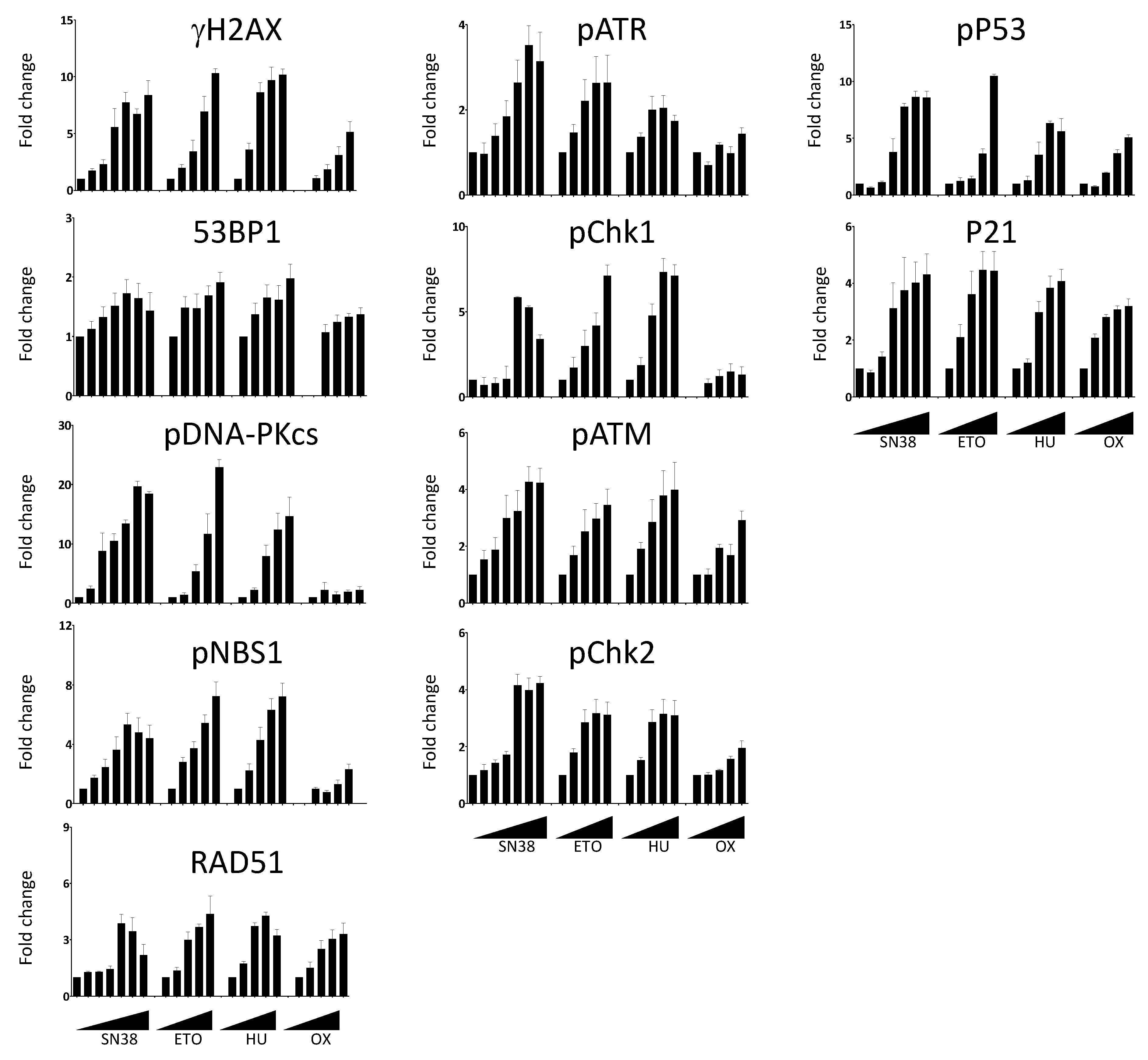 Ijms 23 05701 g004 550