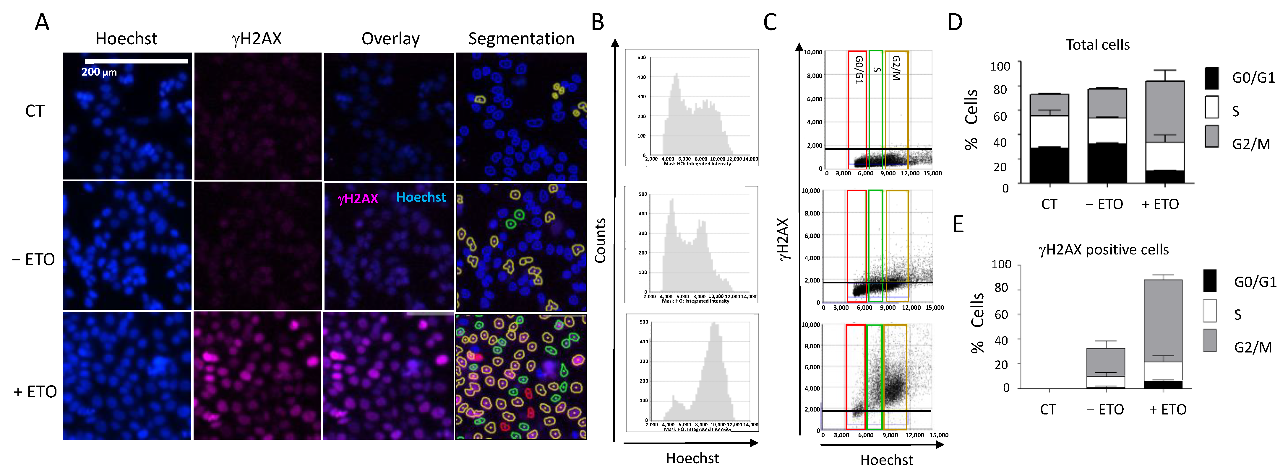 Ijms 23 05701 g005 550