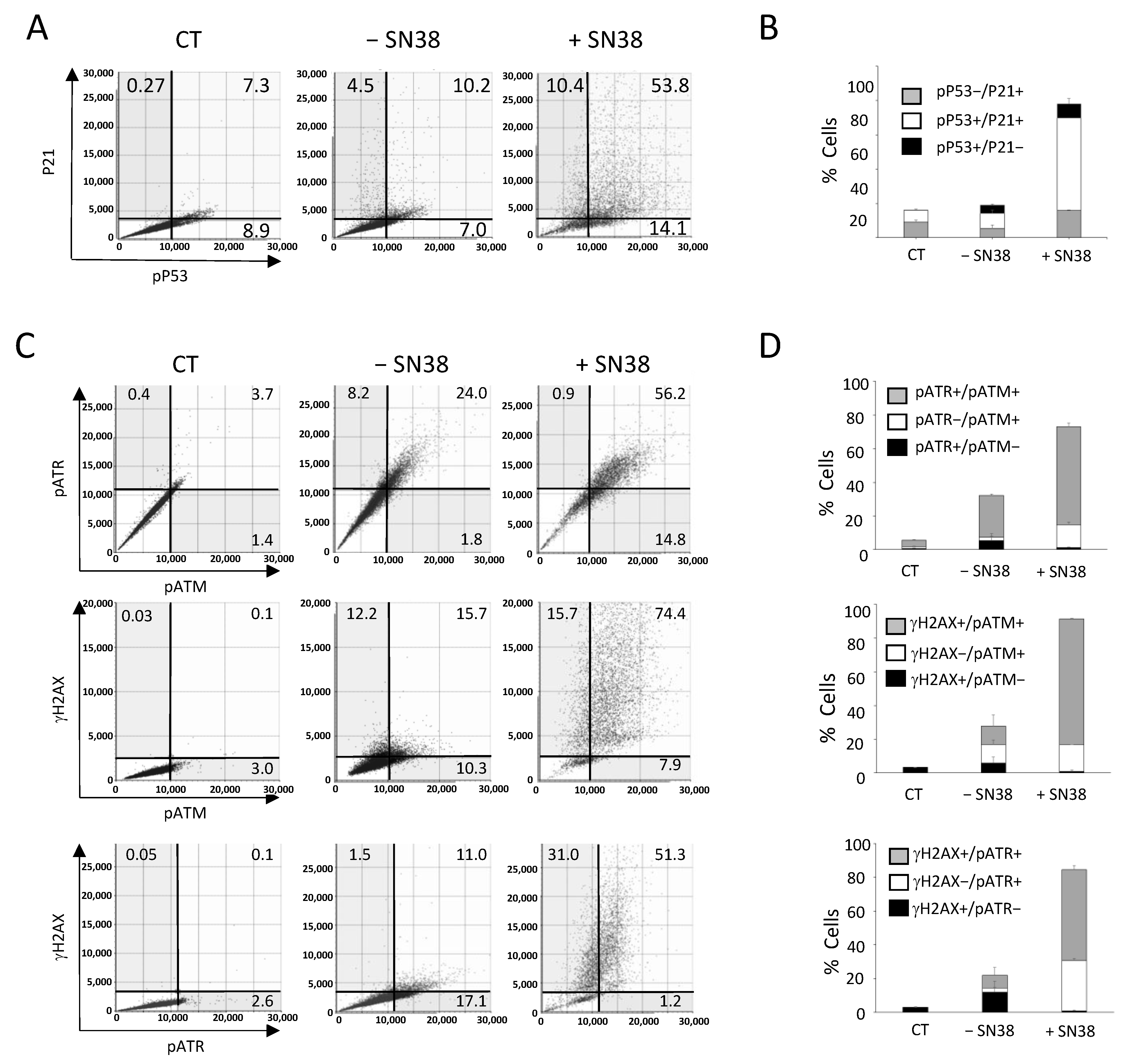 Ijms 23 05701 g006 550