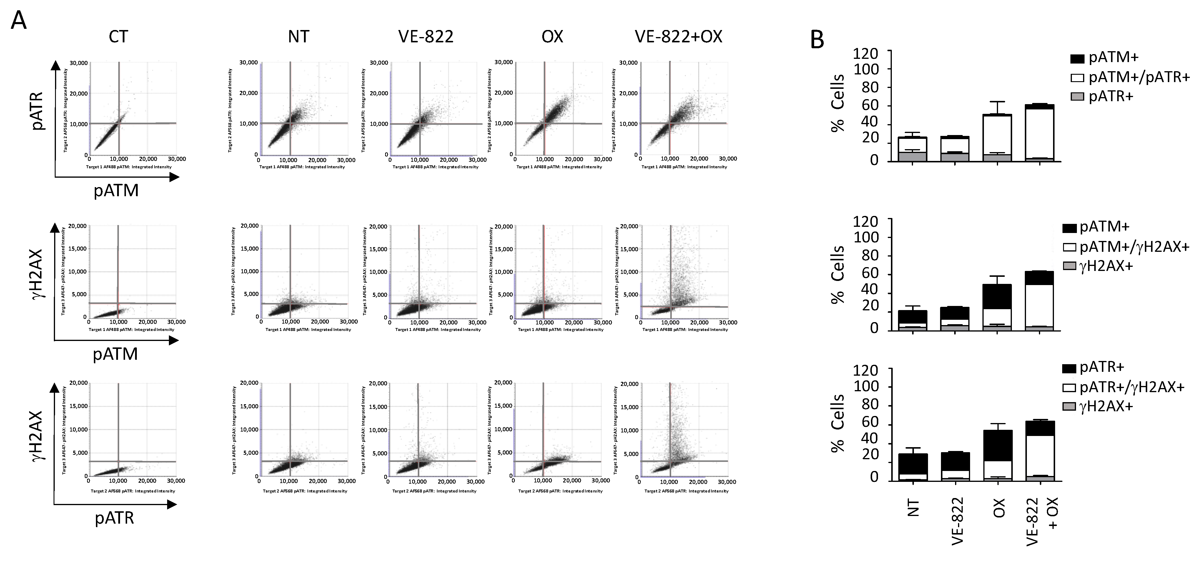 Ijms 23 05701 g007 550