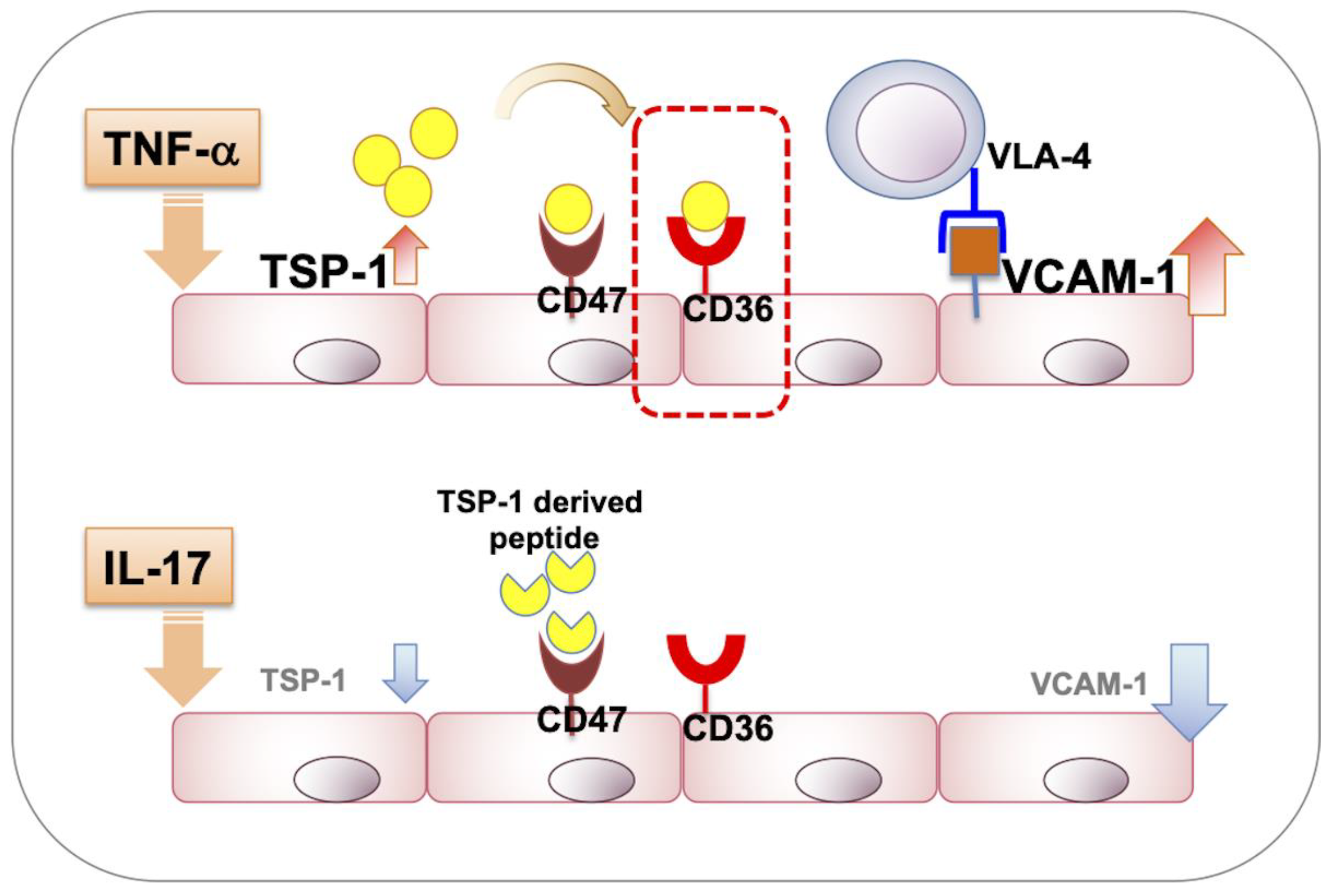 Ijms 23 05705 g007 550
