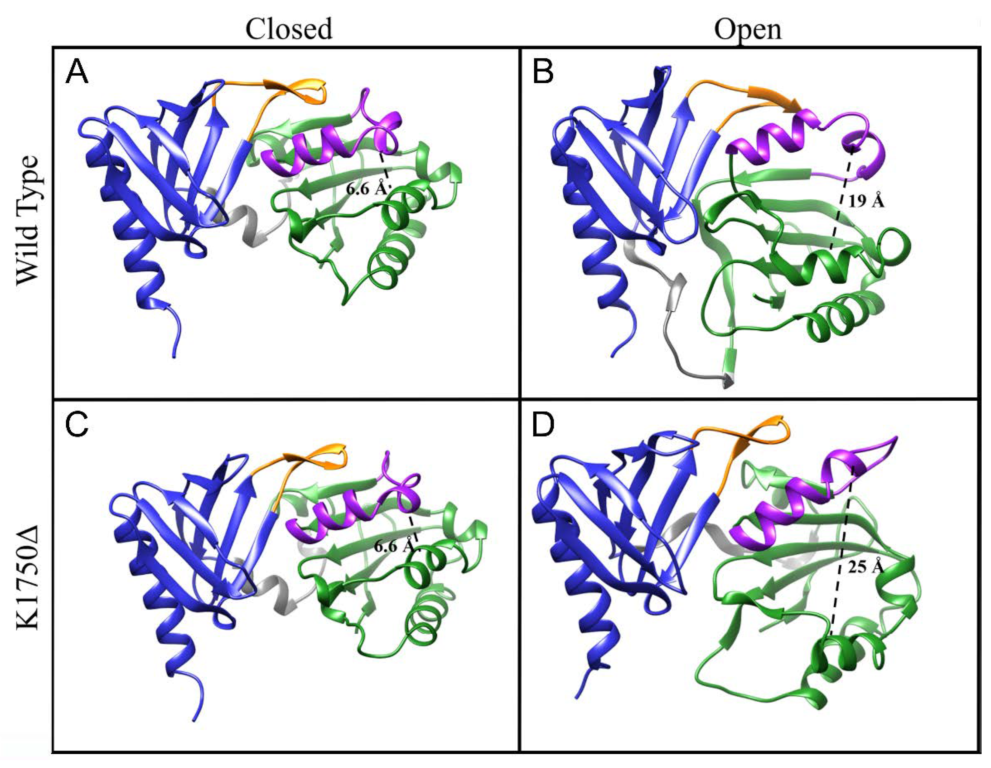 Ijms 23 05707 g004 550