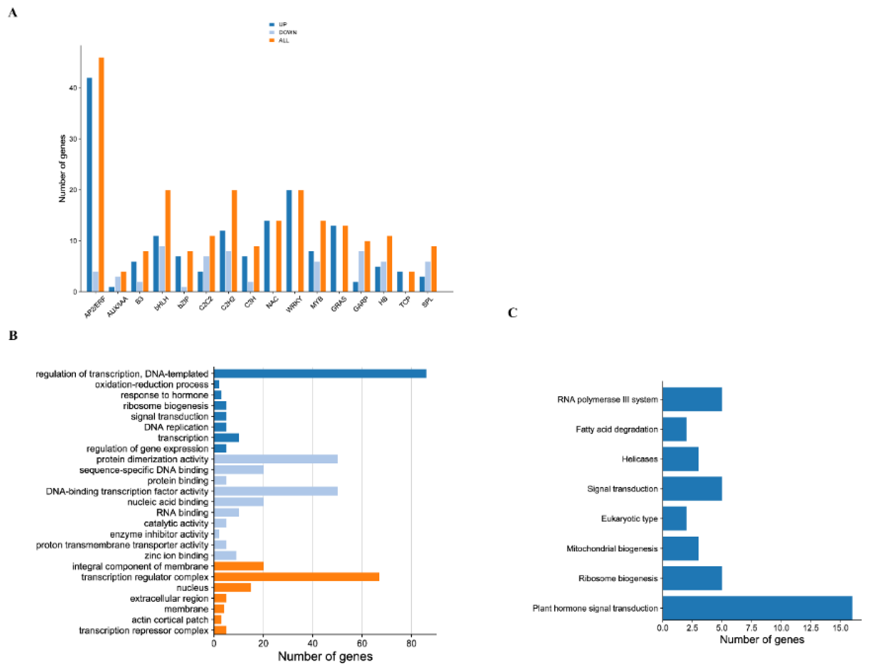 Ijms 23 05708 g002 Ijms 23 05708 g002