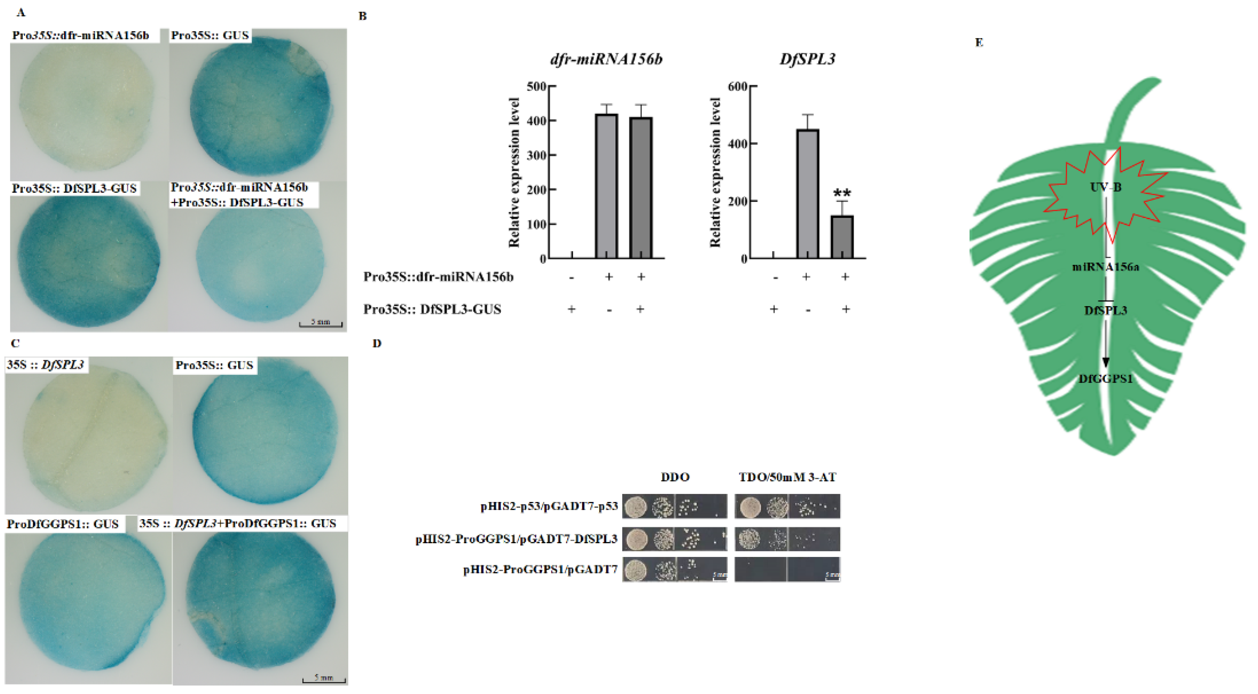 Ijms 23 05708 g005 Ijms 23 05708 g005