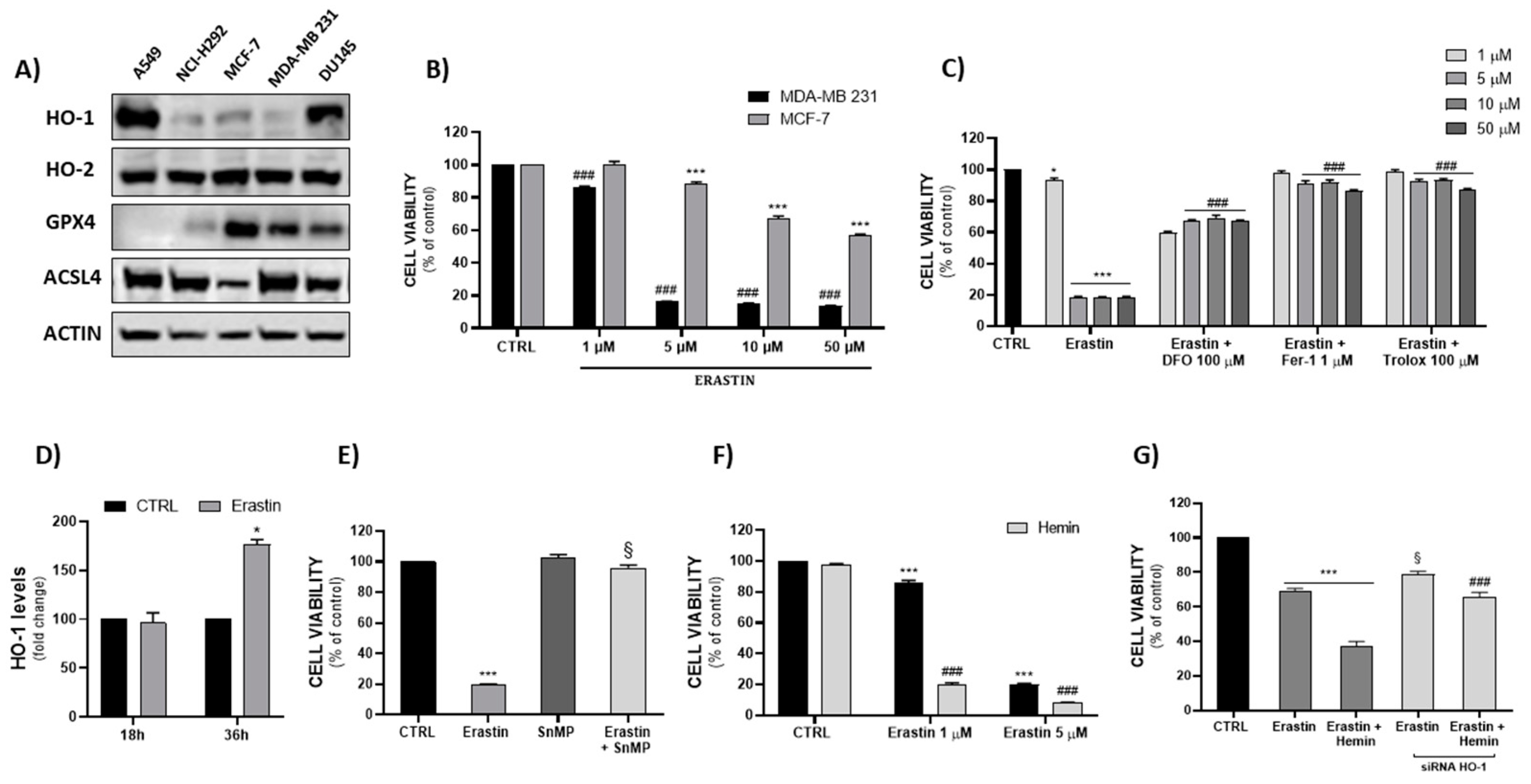 Ijms 23 05709 g001 550