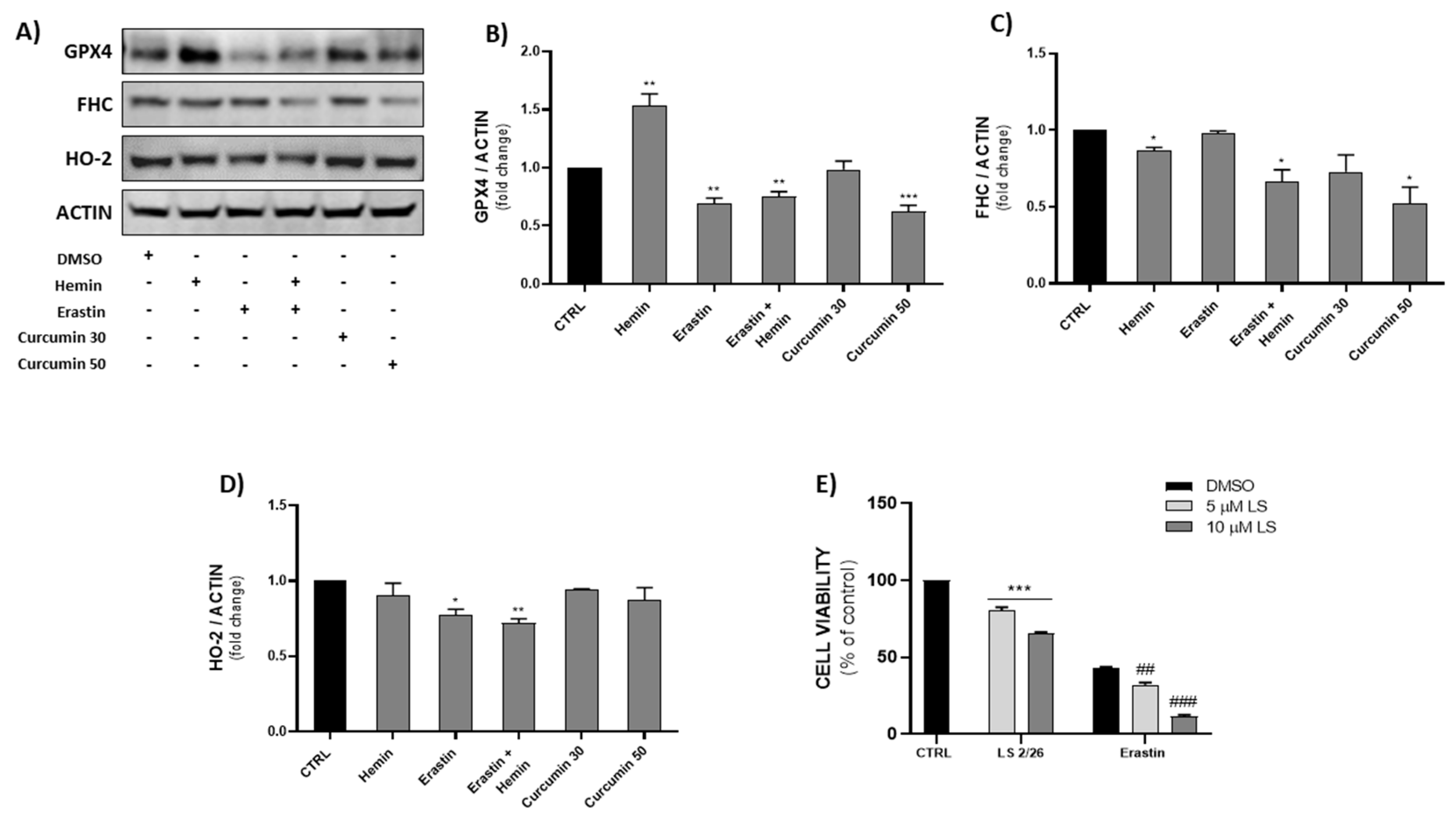 Ijms 23 05709 g005 550