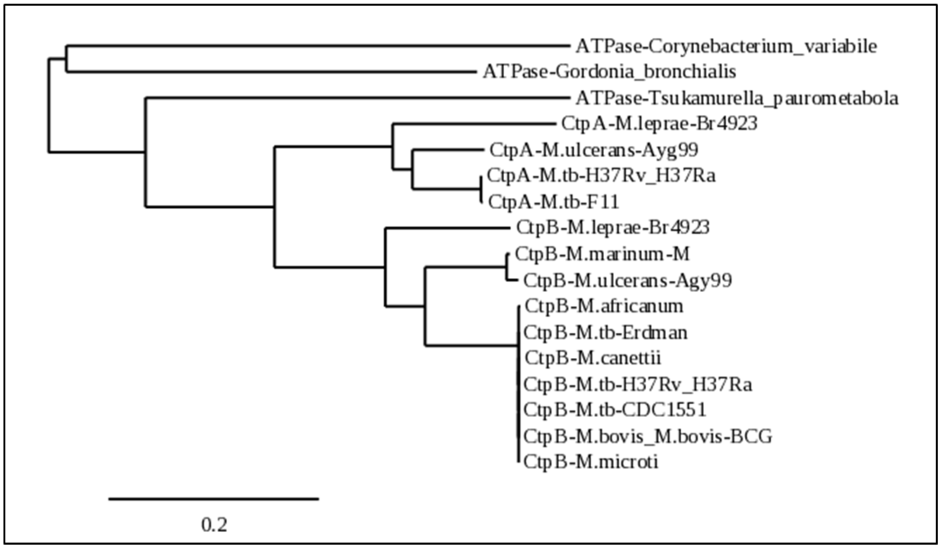 Ijms 23 05713 g006 550