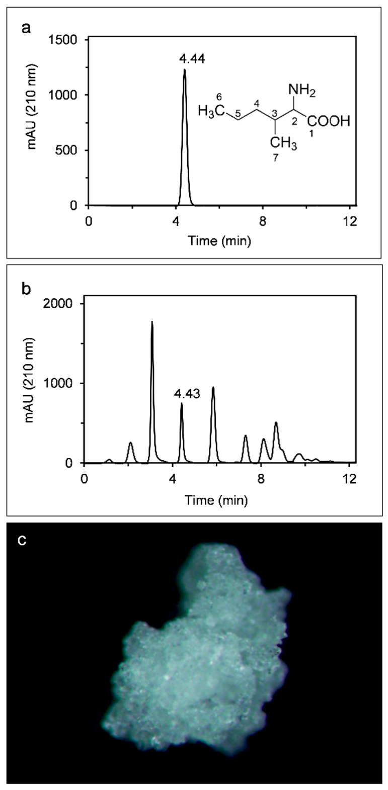 Ijms 23 05715 g001 550