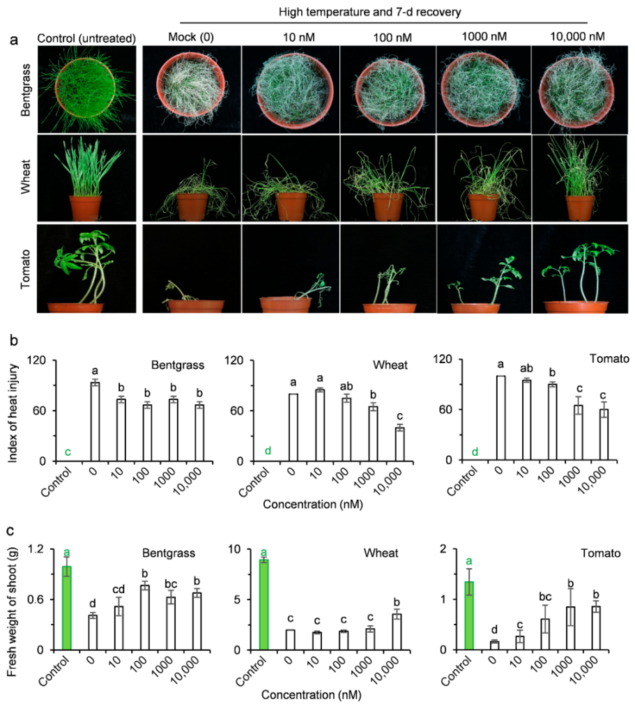 Ijms 23 05715 g005 550