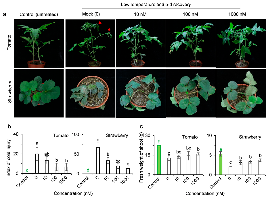 Ijms 23 05715 g006 550