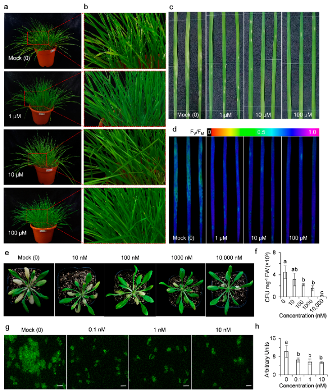 Ijms 23 05715 g007 550