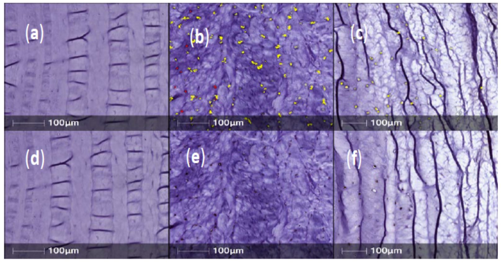 Ijms 23 05717 g002 550