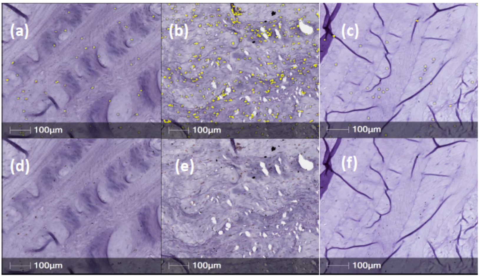 Ijms 23 05717 g003 550