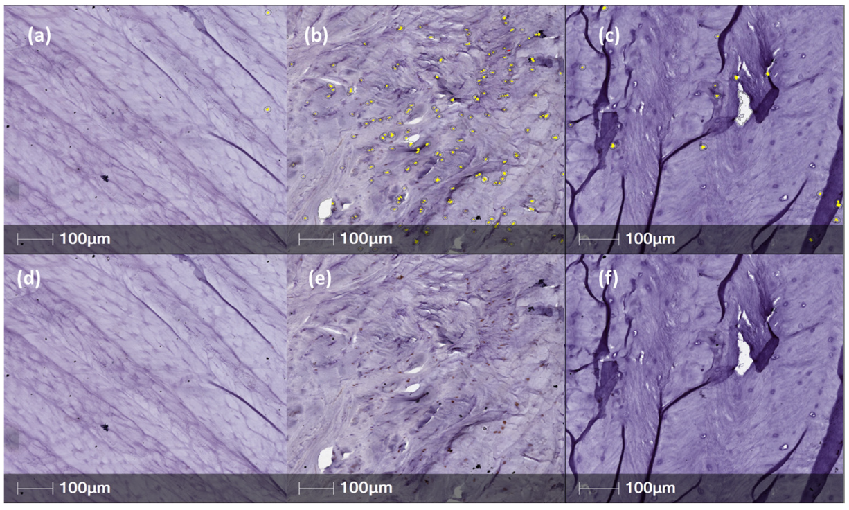 Ijms 23 05717 g004 550