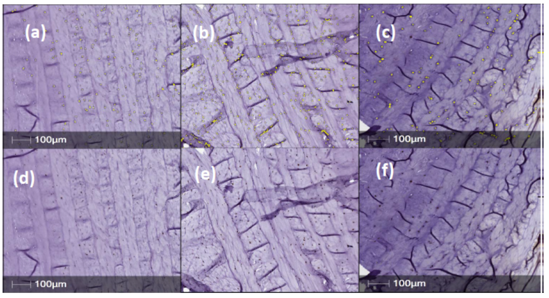 Ijms 23 05717 g005 550