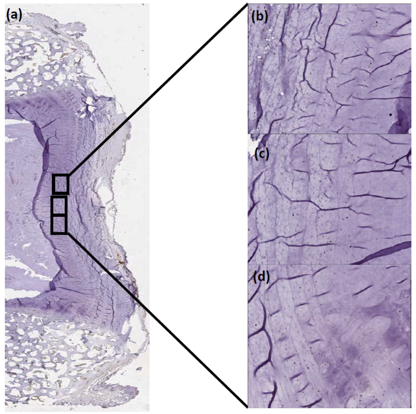 Ijms 23 05717 g0a1 550