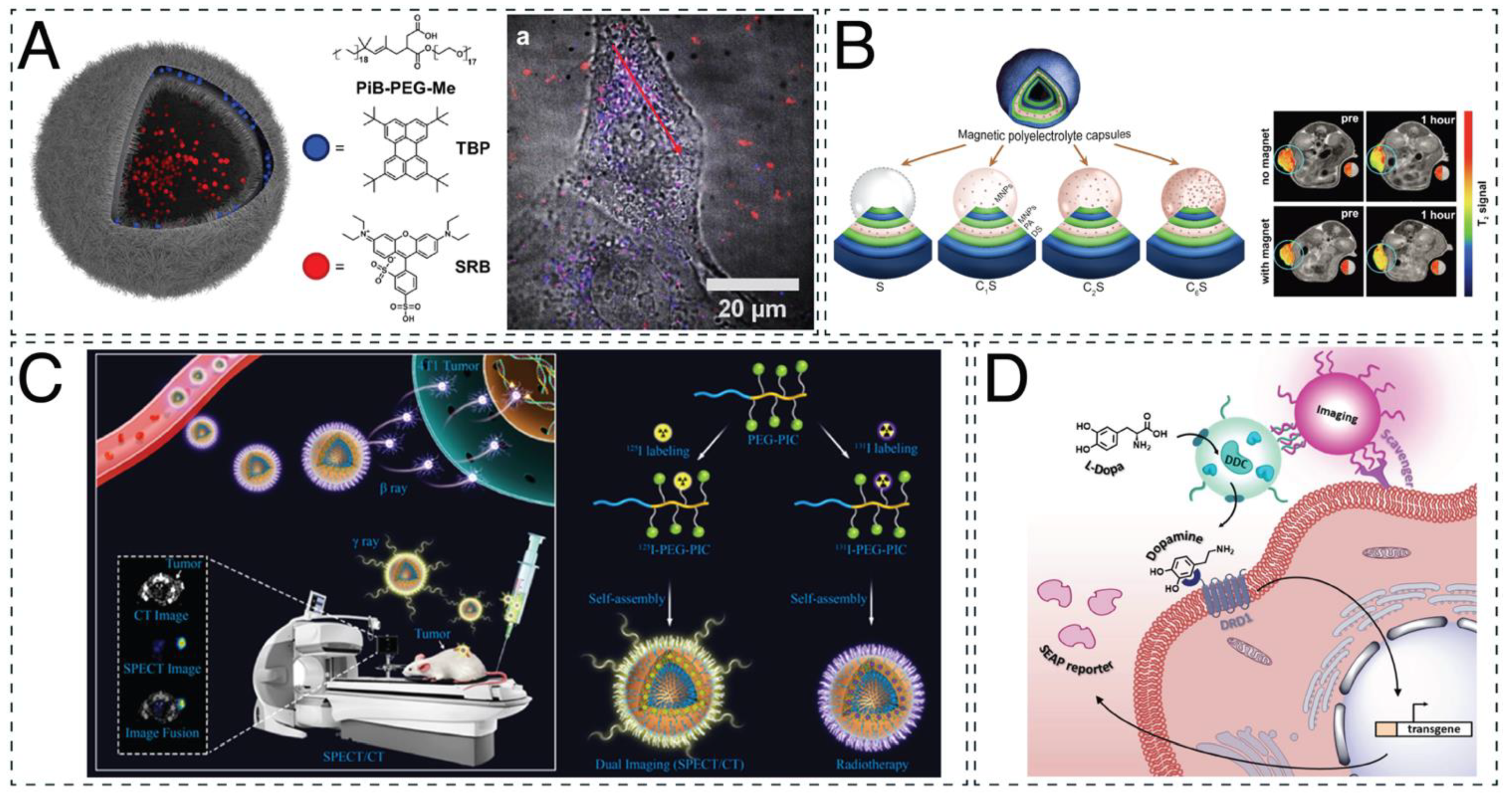 Ijms 23 05718 g002 Ijms 23 05718 g002