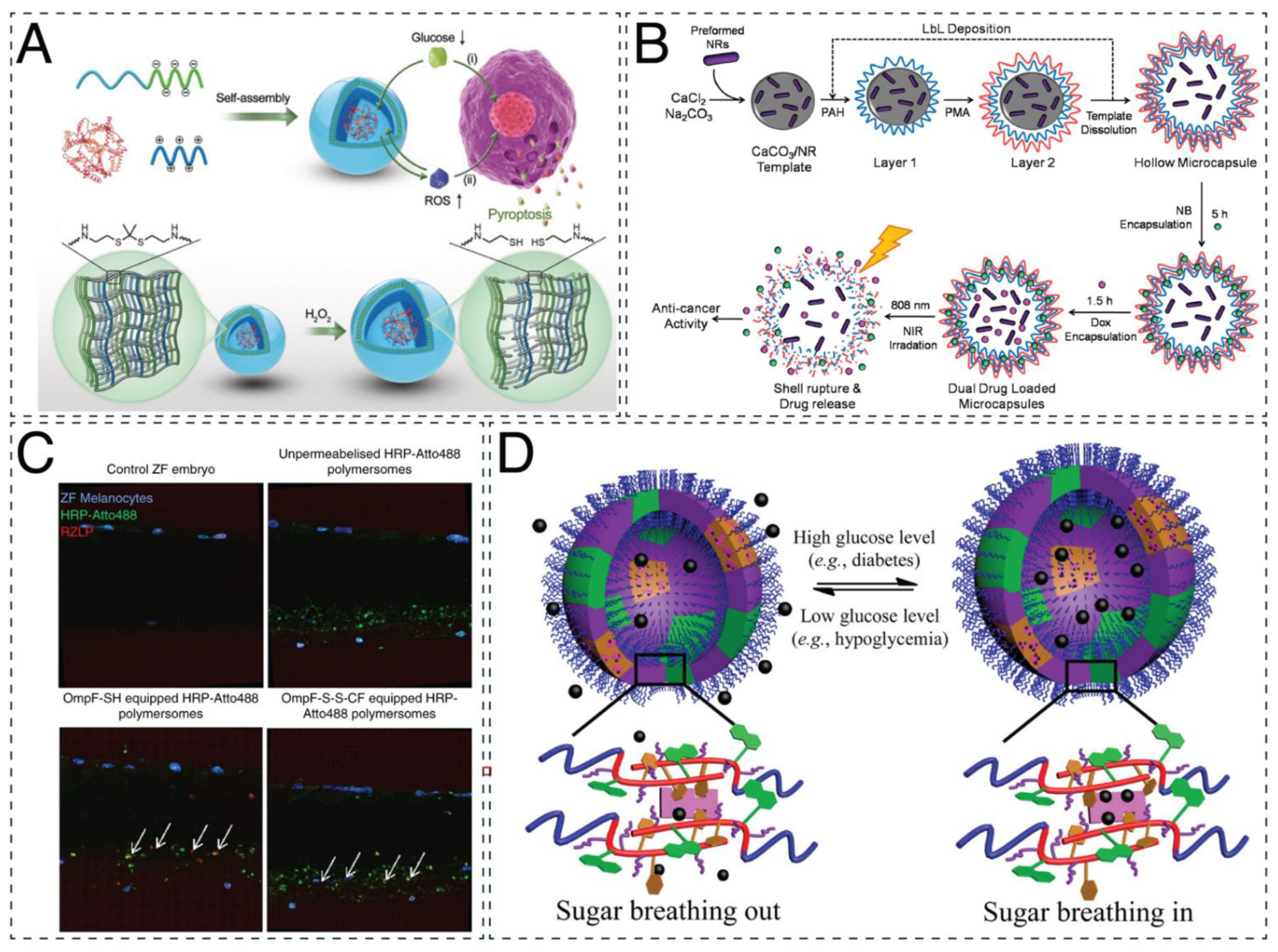 Ijms 23 05718 g003 Ijms 23 05718 g003