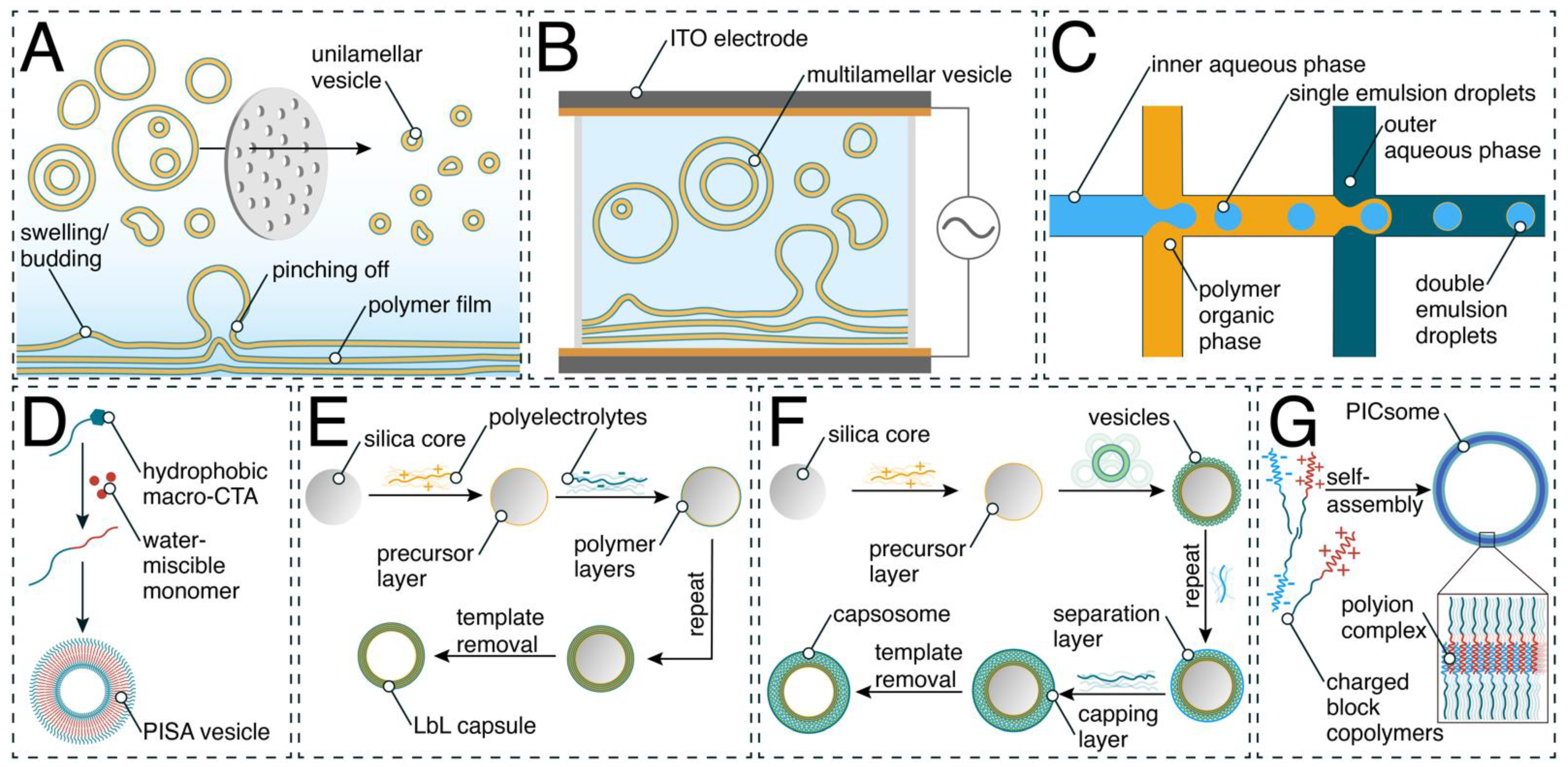 Ijms 23 05718 sch001 Ijms 23 05718 sch001