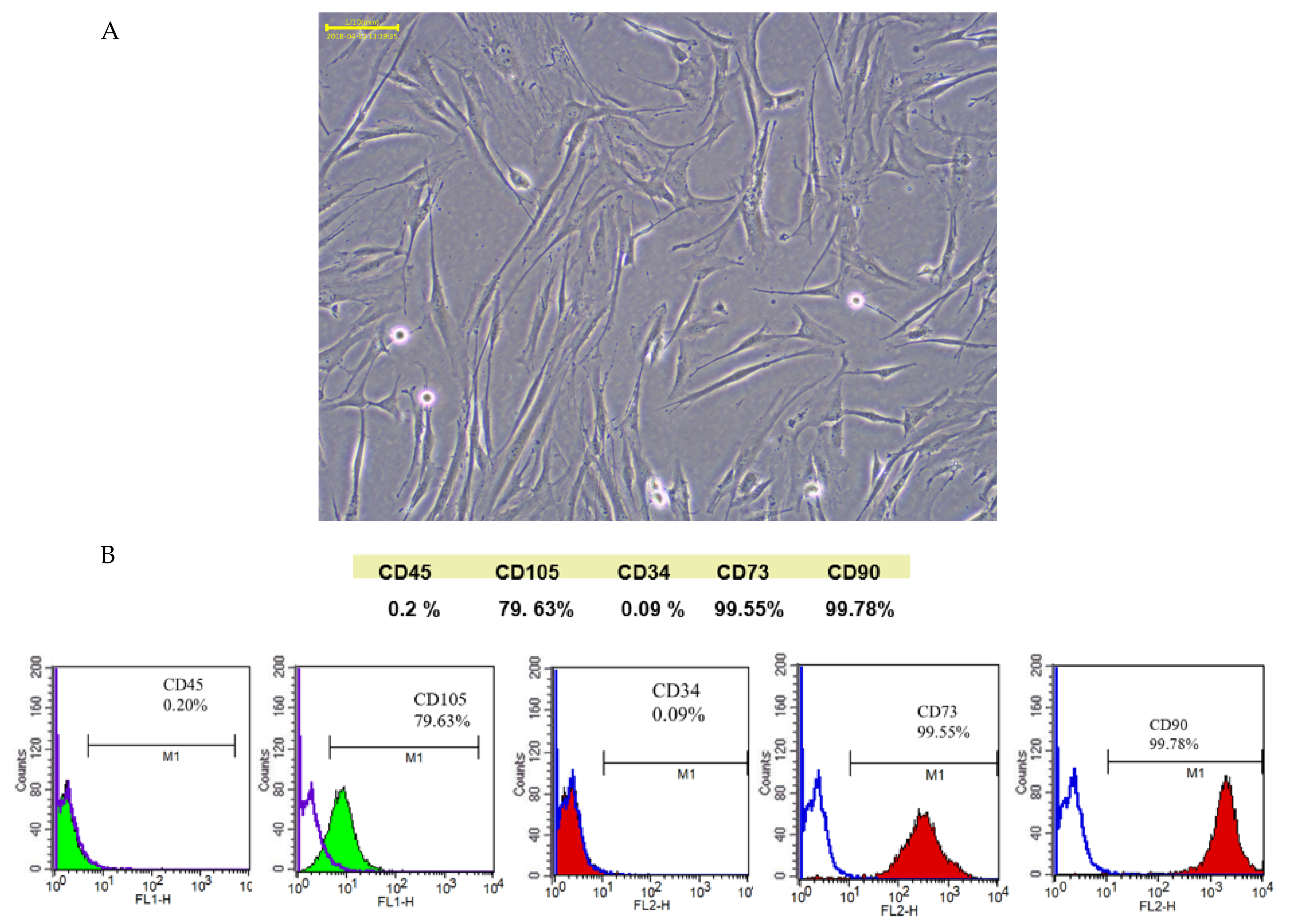 Ijms 23 05721 g001 550