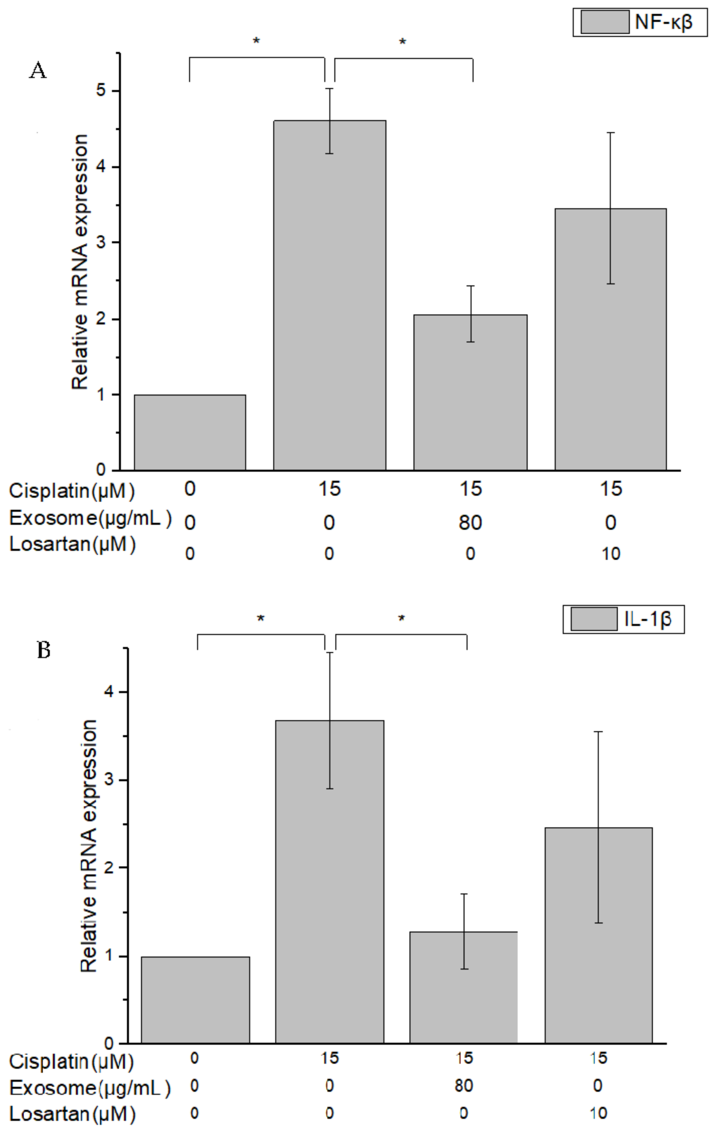 Ijms 23 05721 g006 550