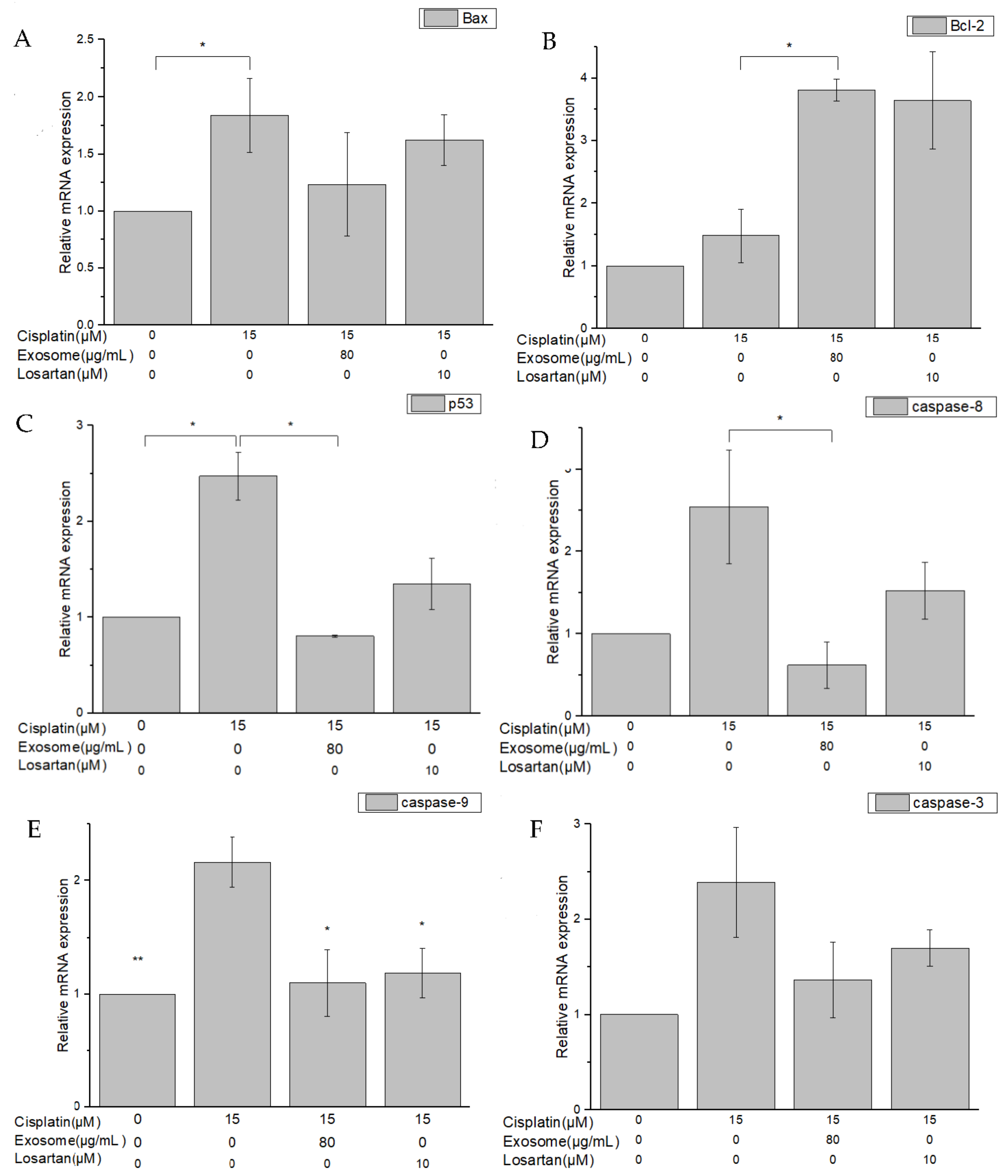 Ijms 23 05721 g007 550