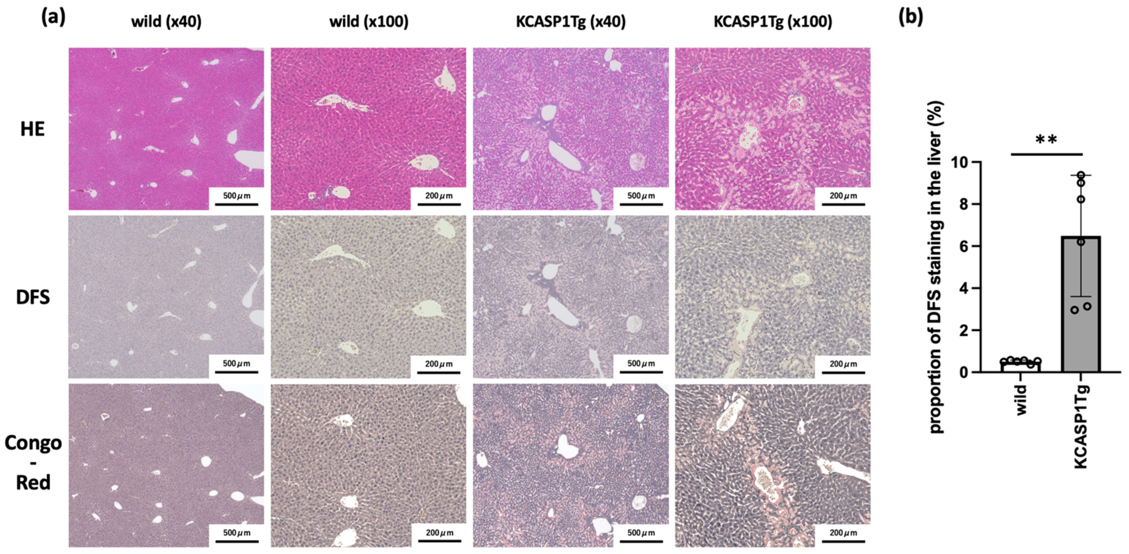 Ijms 23 05726 g001 550