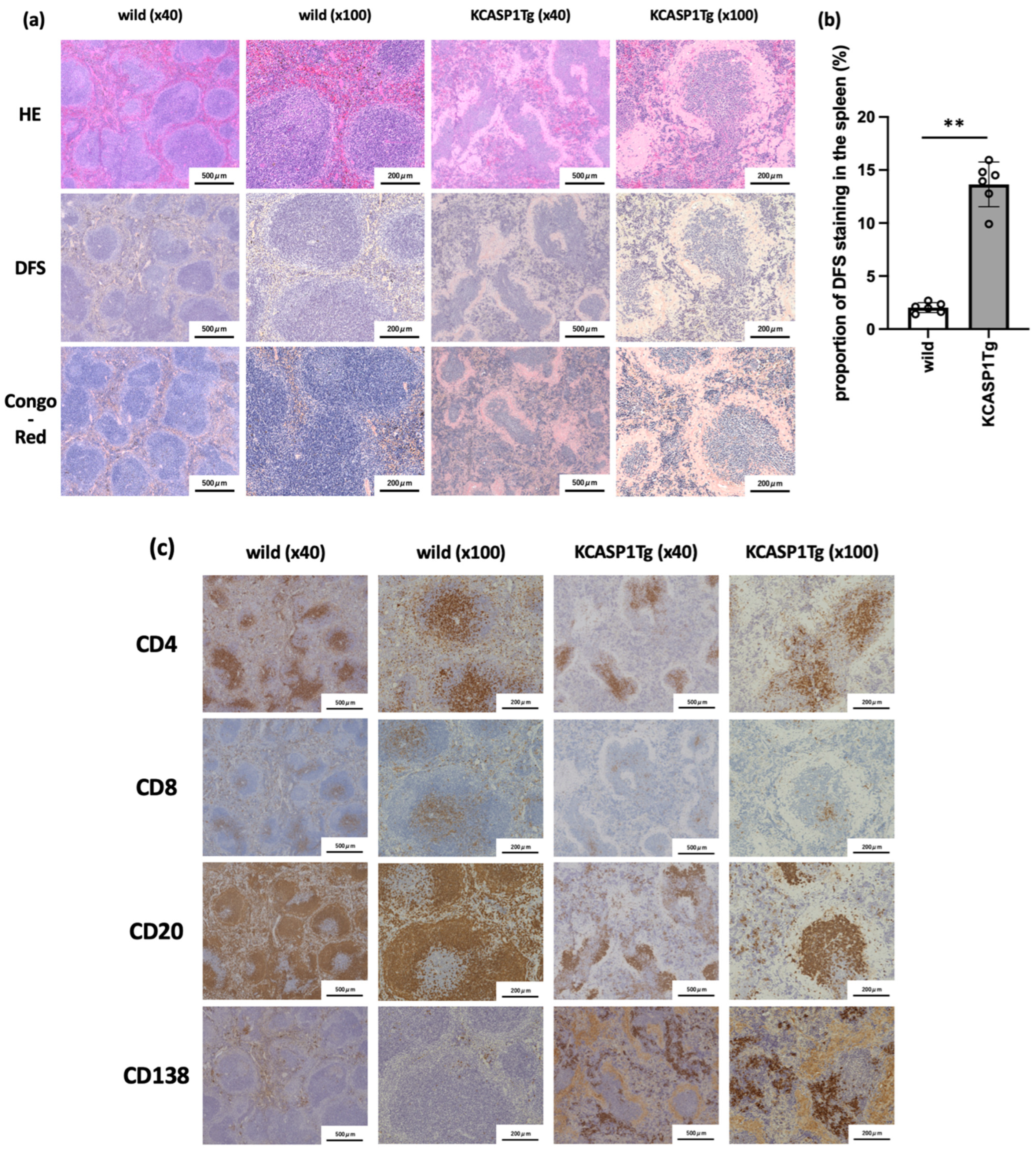 Ijms 23 05726 g002 550