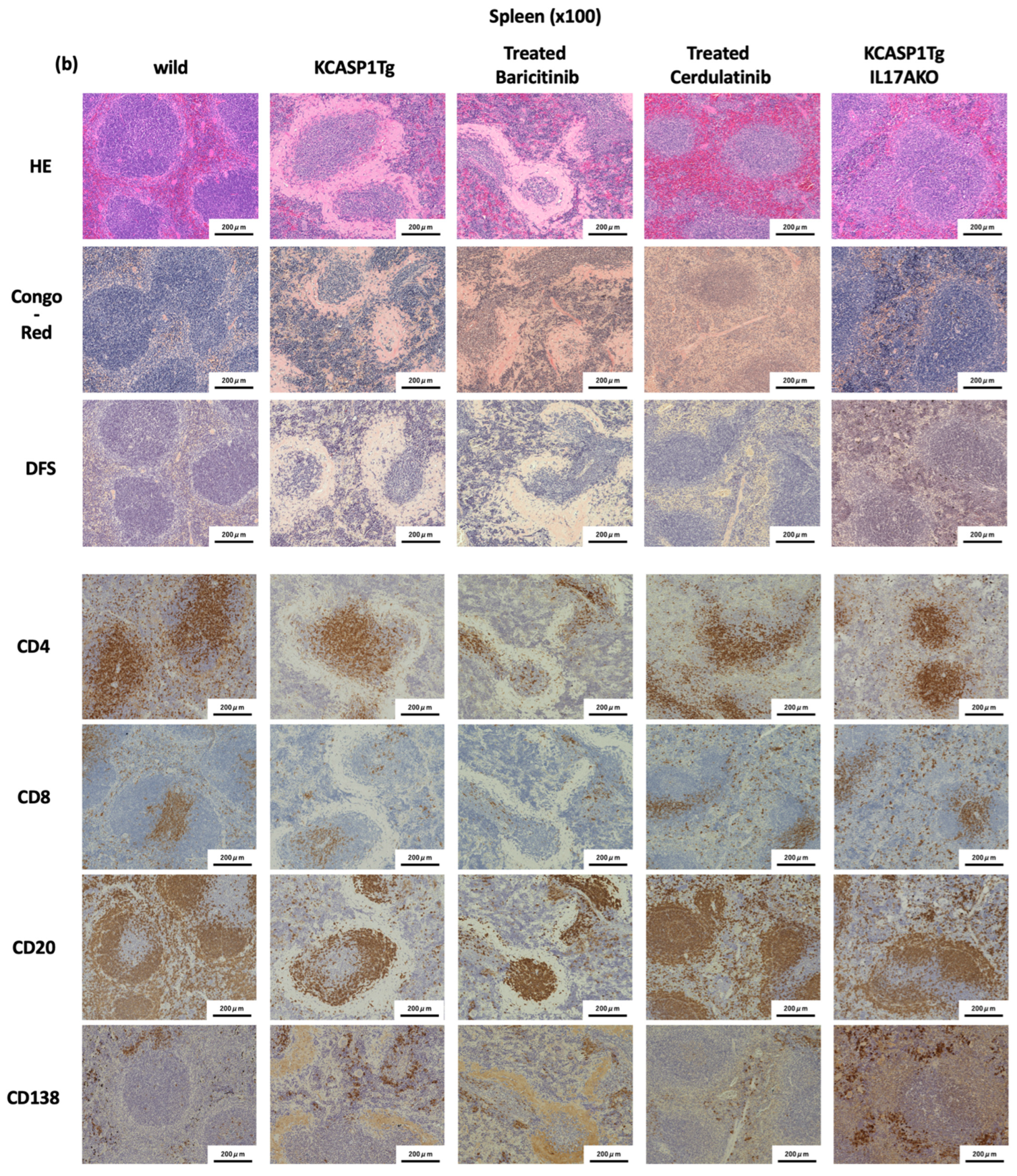 Ijms 23 05726 g004b 550