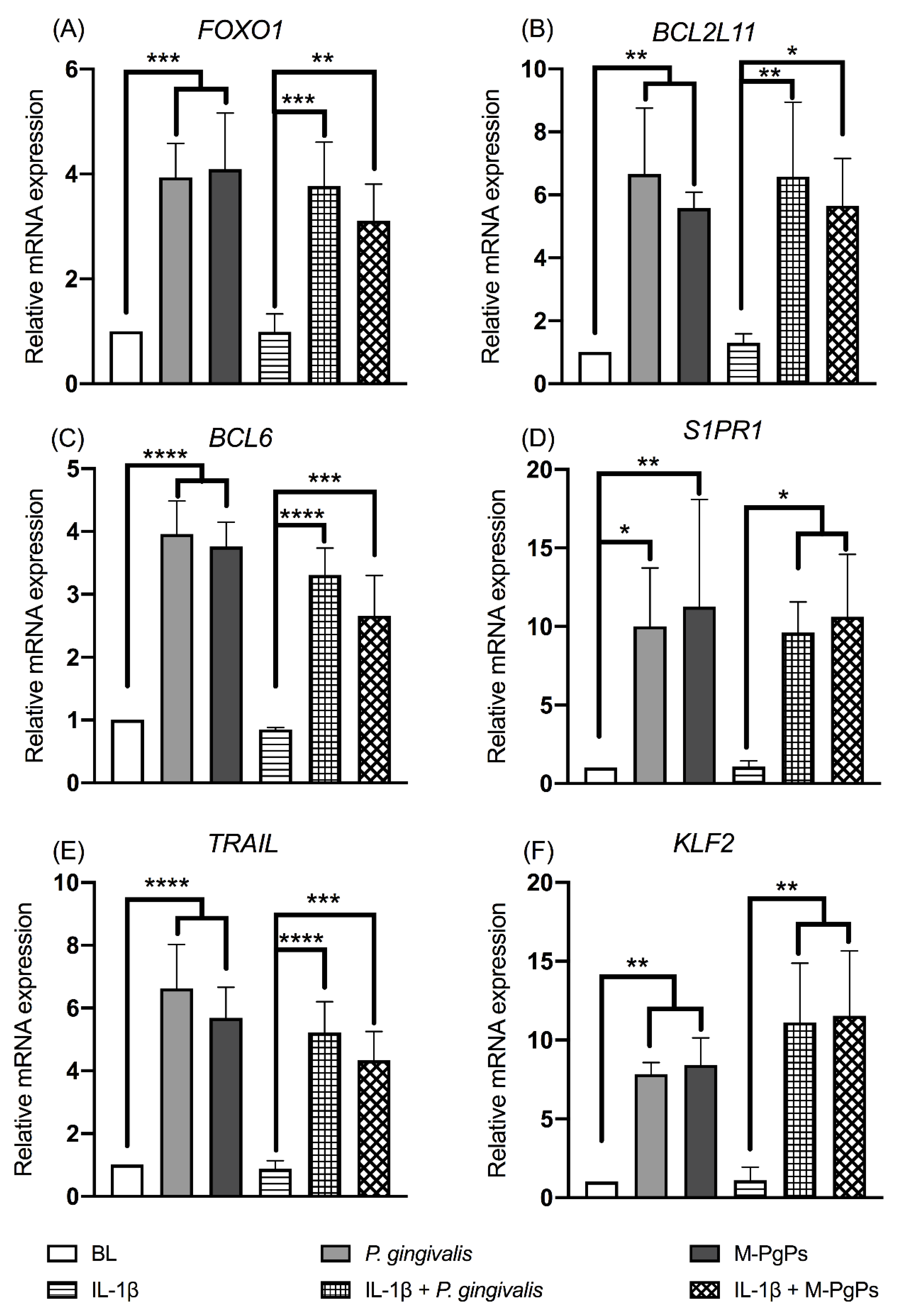 Ijms 23 05728 g004 550