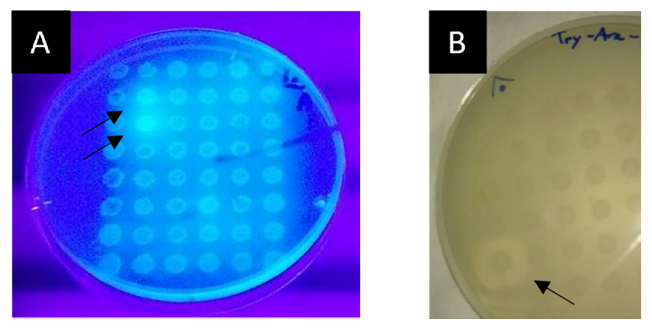 Ijms 23 05733 g001 550