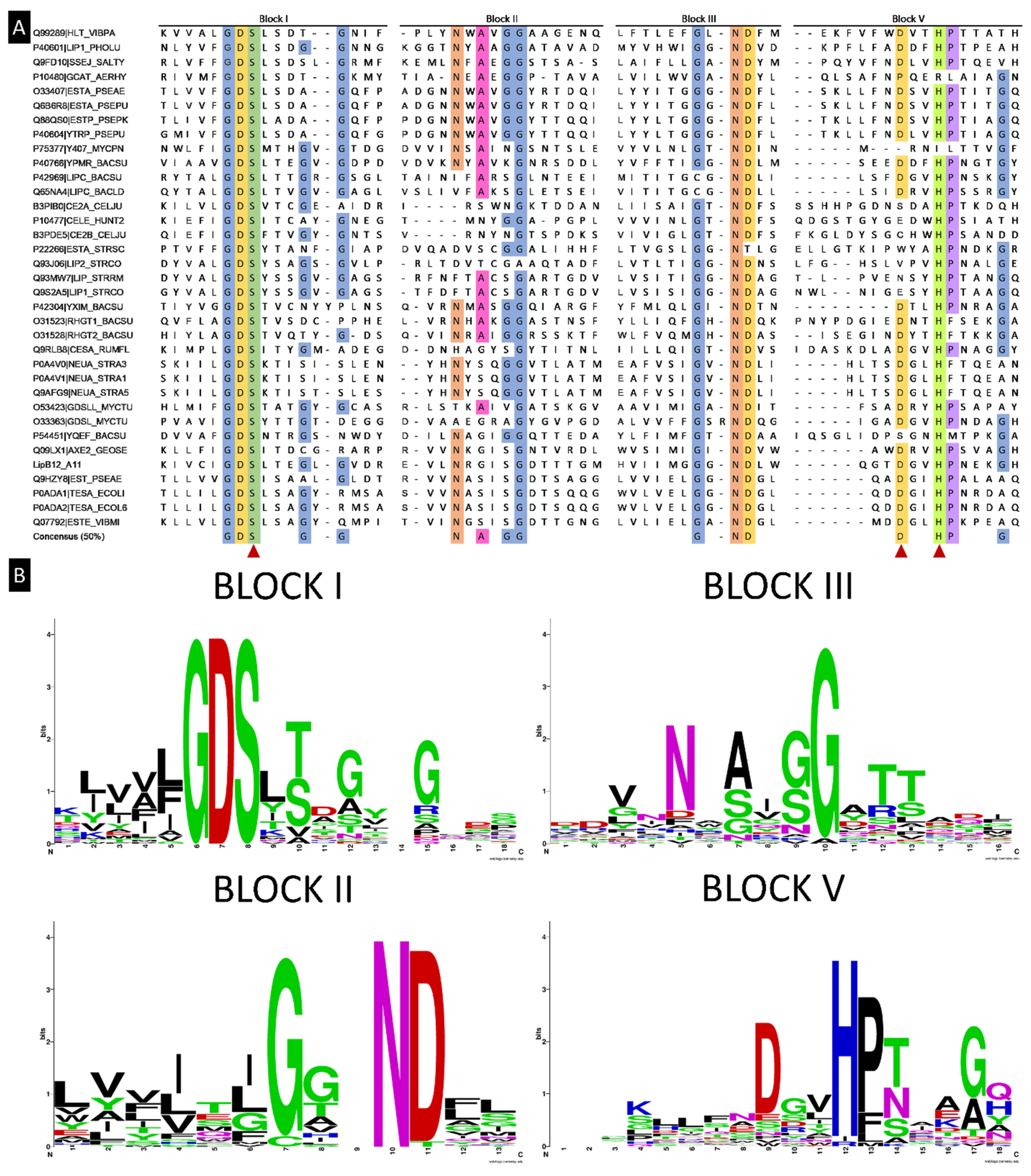 Ijms 23 05733 g003 550