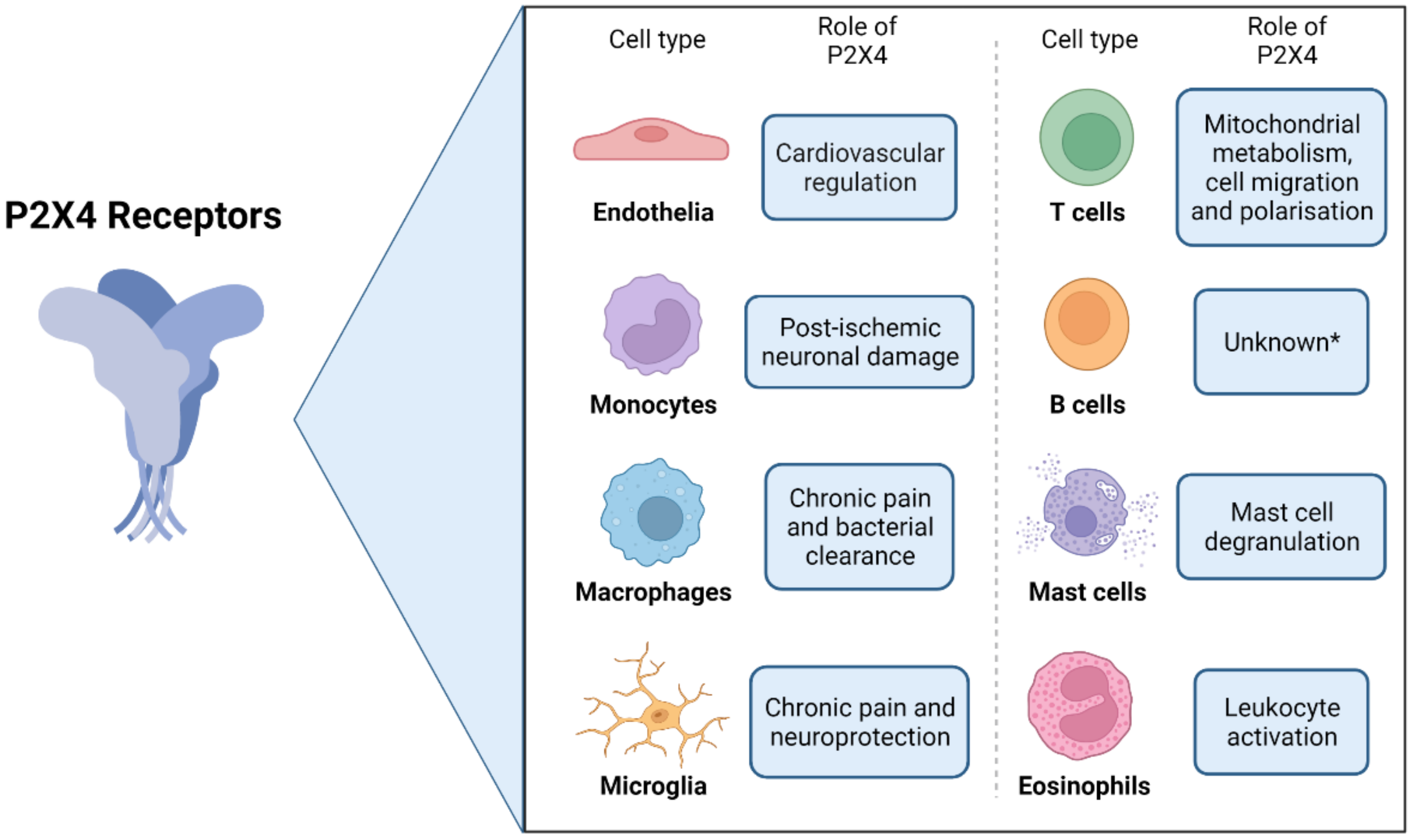 Ijms 23 05739 g002 550