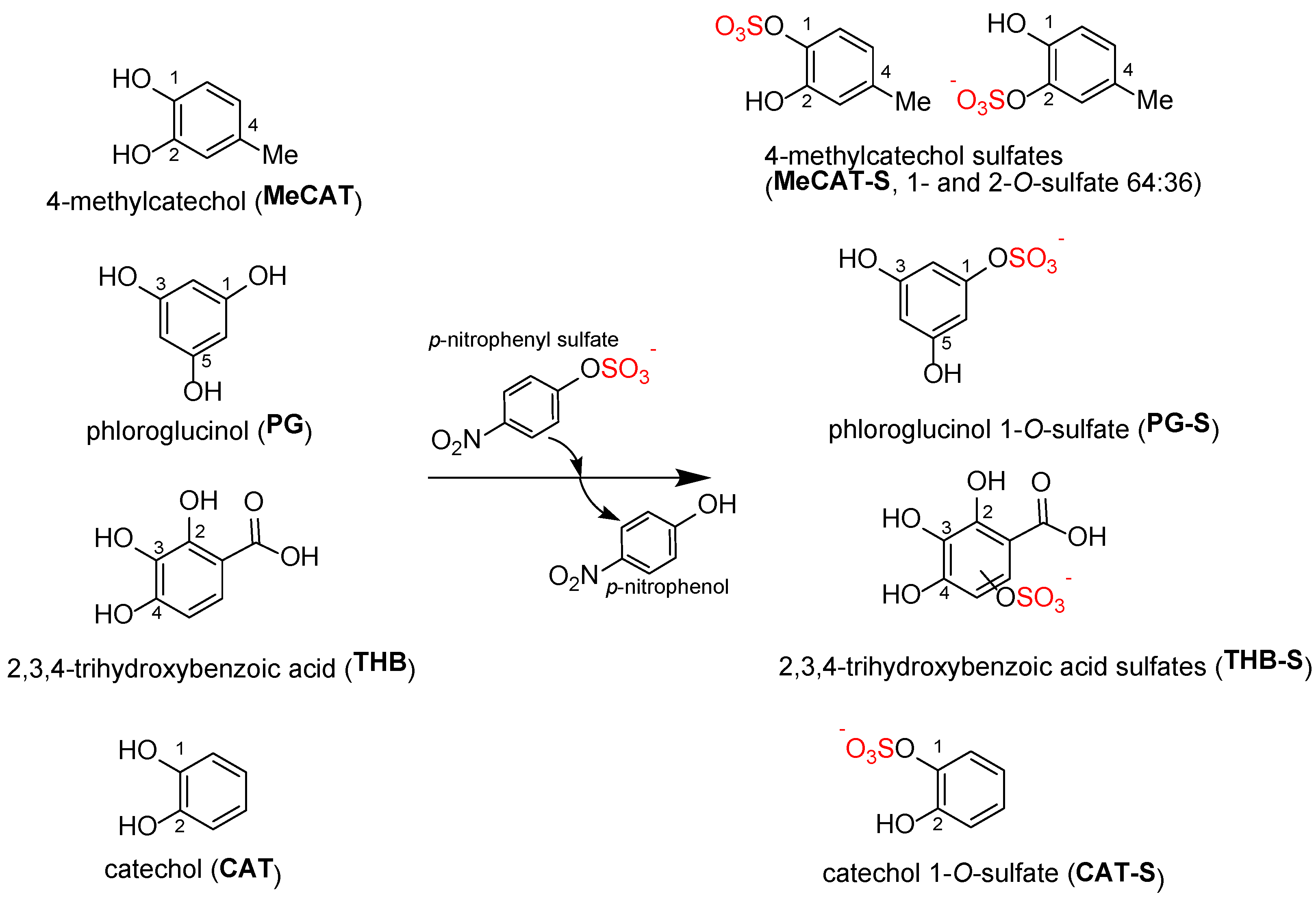 Ijms 23 05743 g001 550