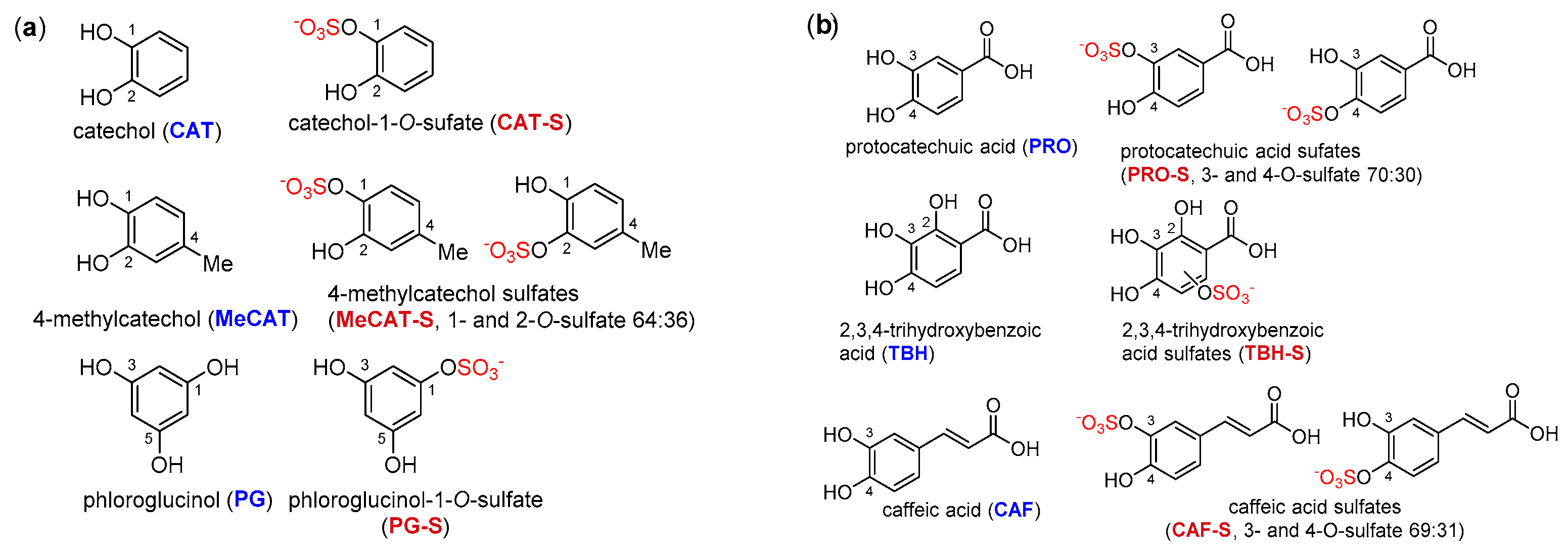 Ijms 23 05743 g002 550