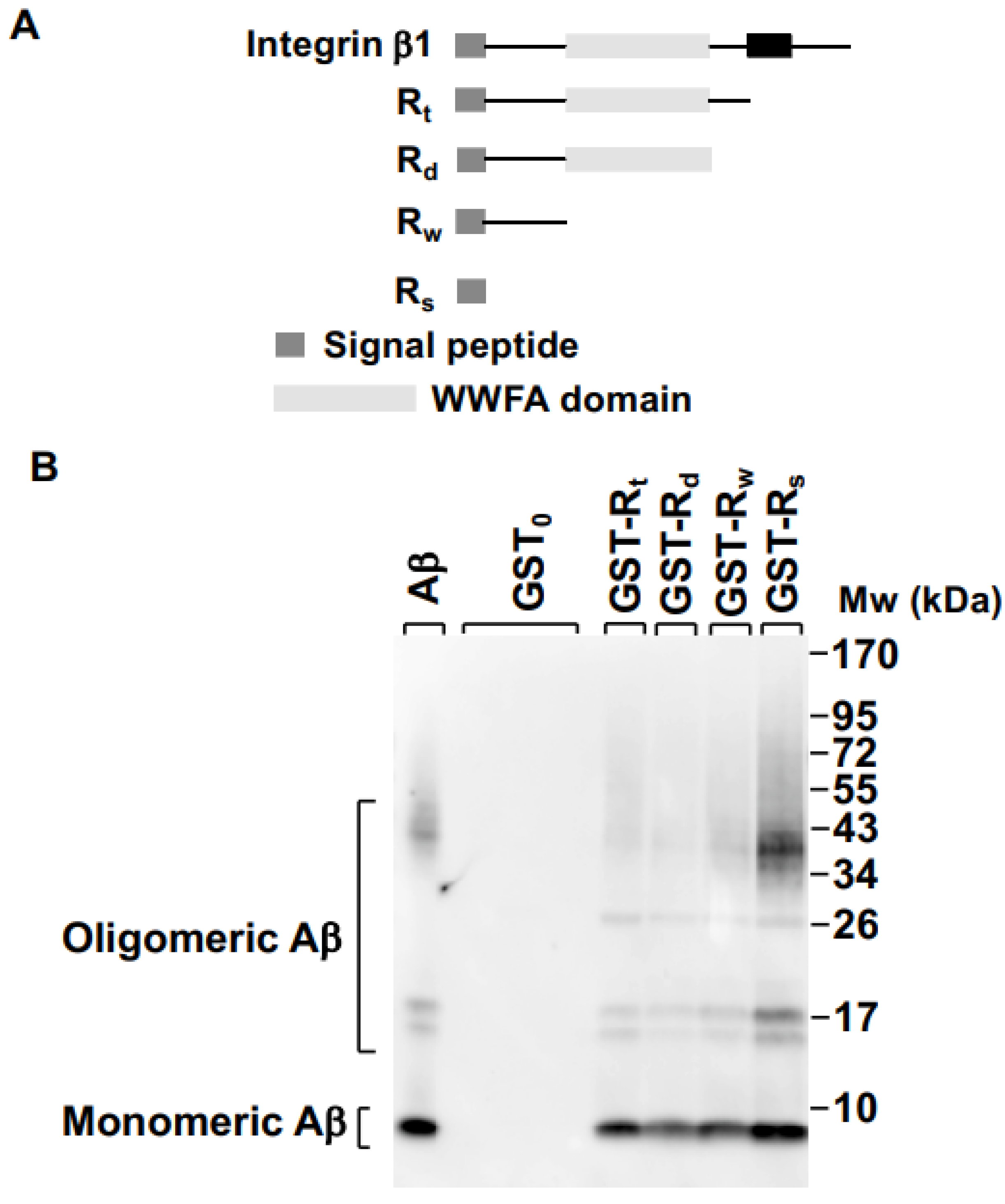 Ijms 23 05747 g001a 550