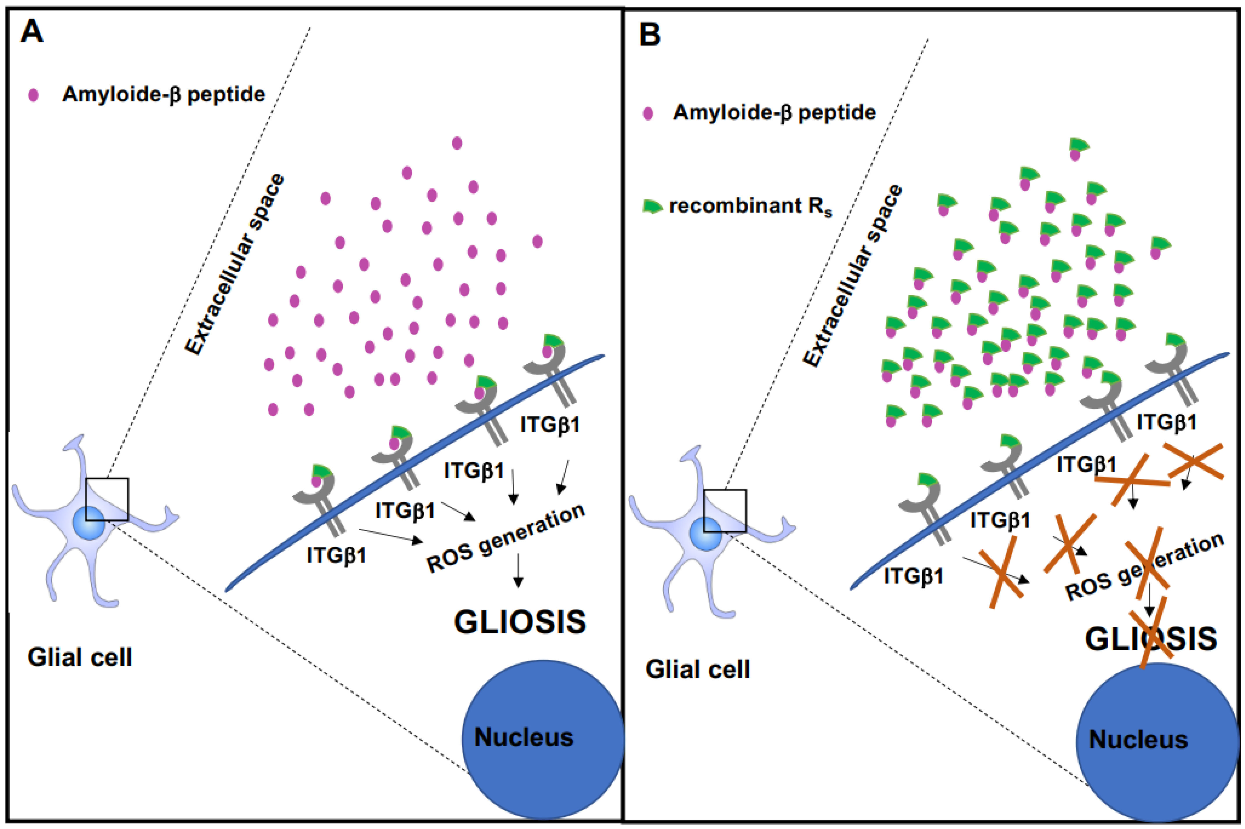 Ijms 23 05747 g006 550