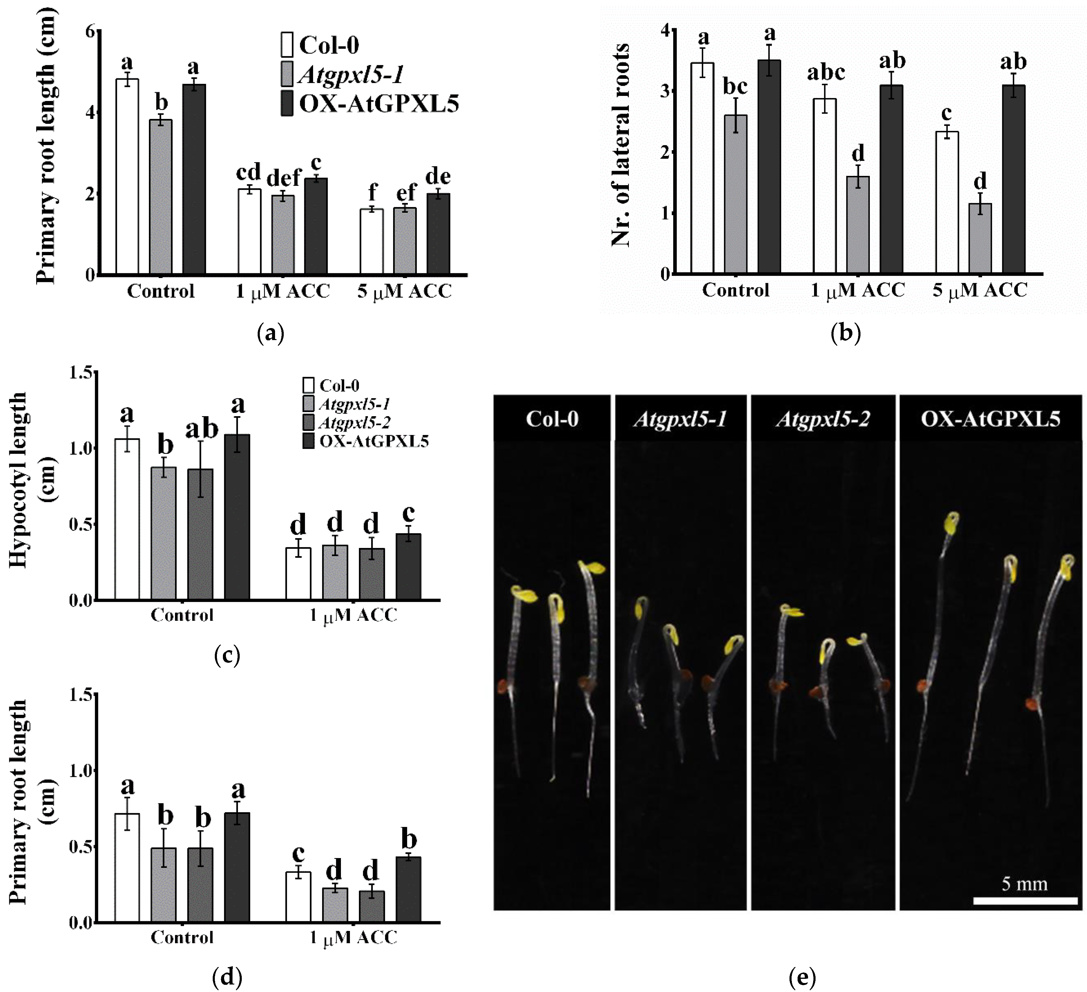 Ijms 23 05749 g003 550