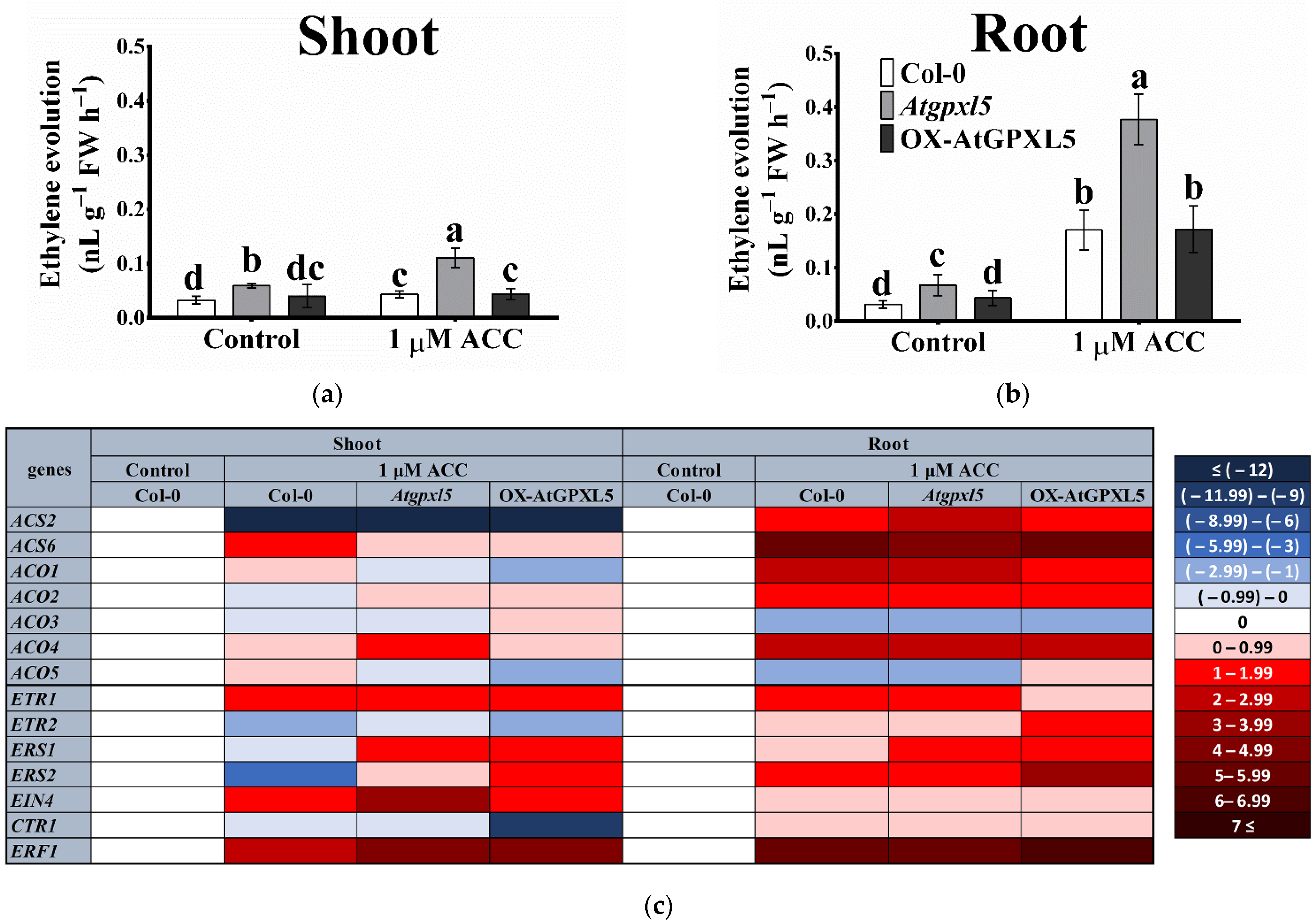Ijms 23 05749 g004 550