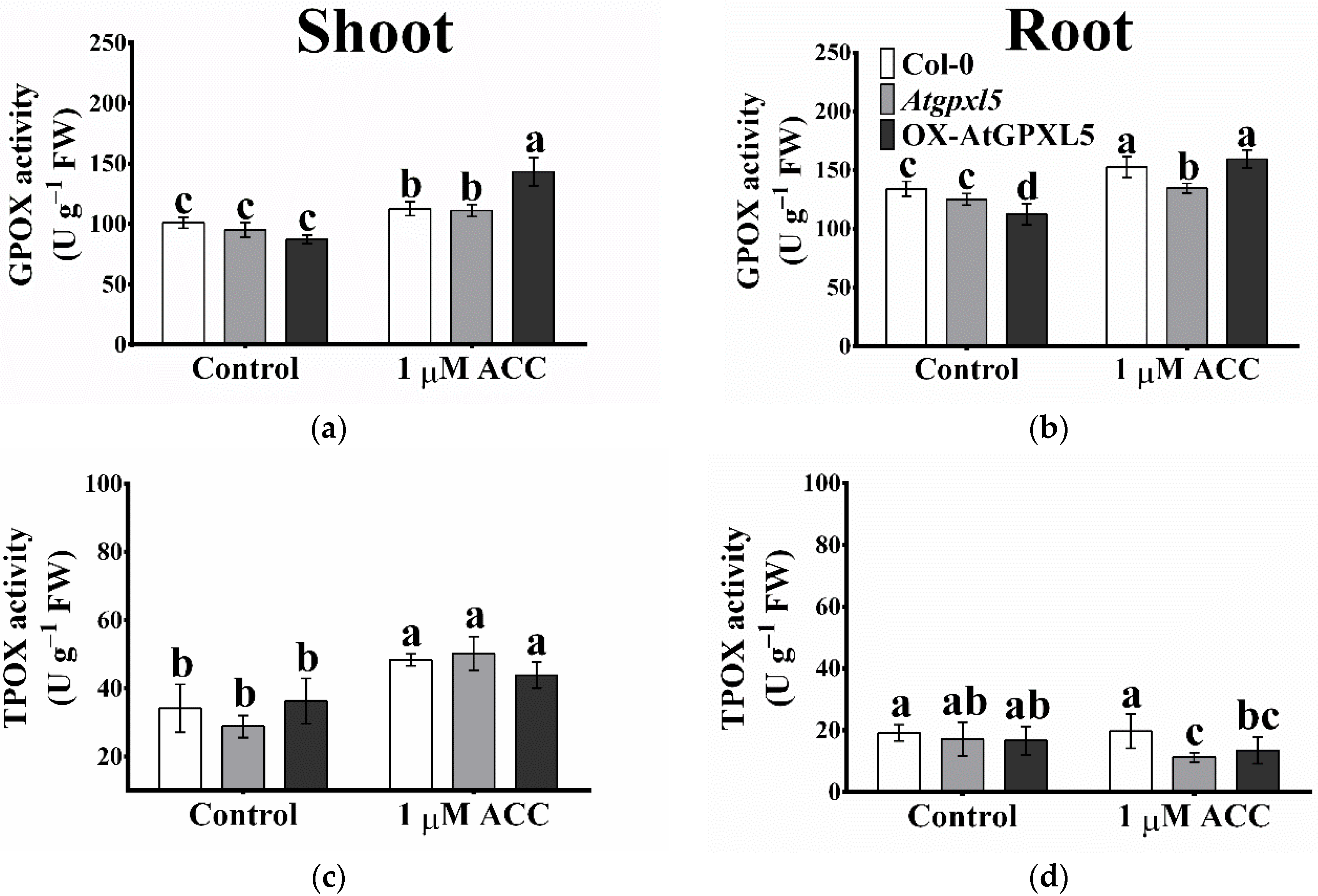 Ijms 23 05749 g005 550