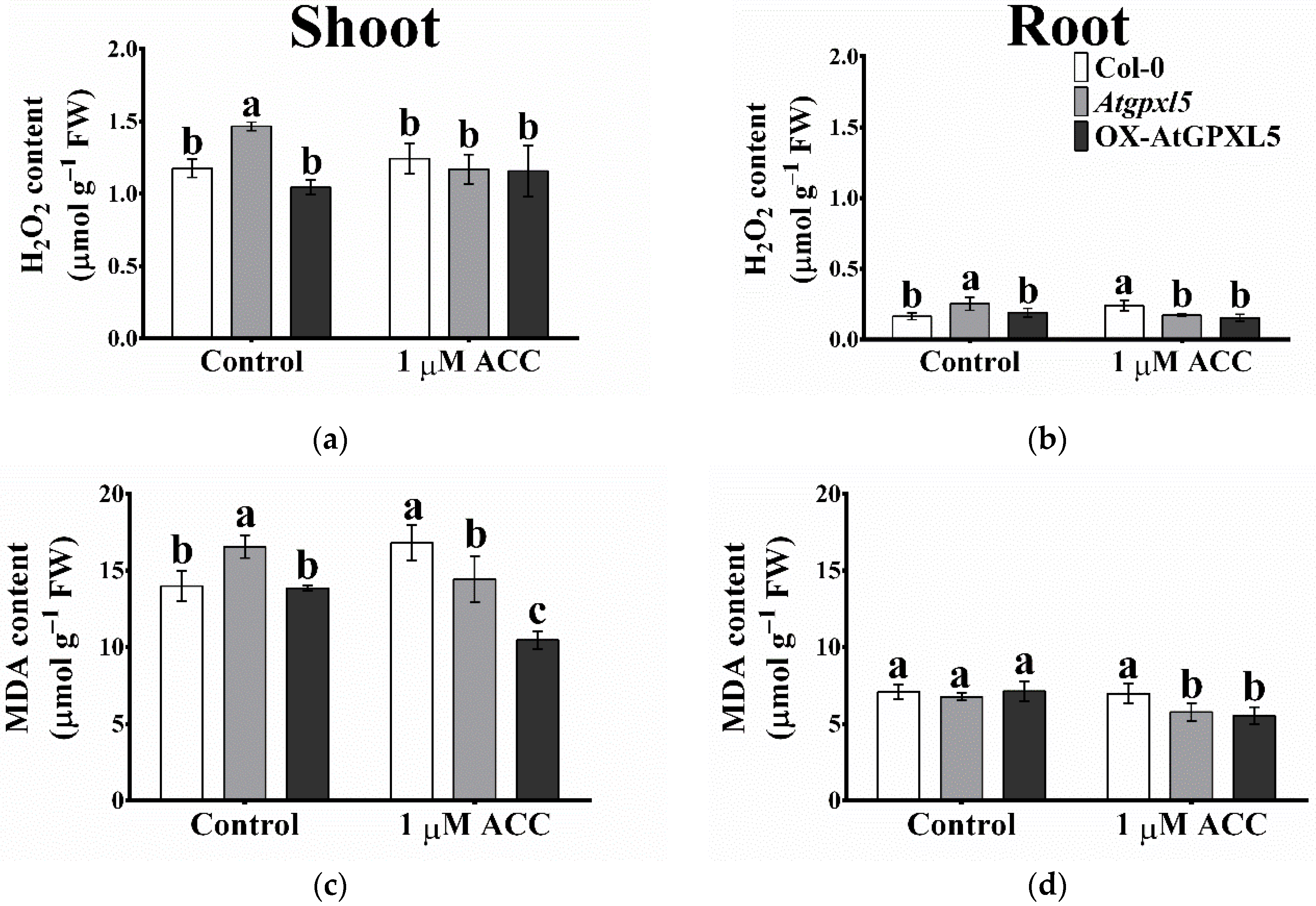 Ijms 23 05749 g006 550